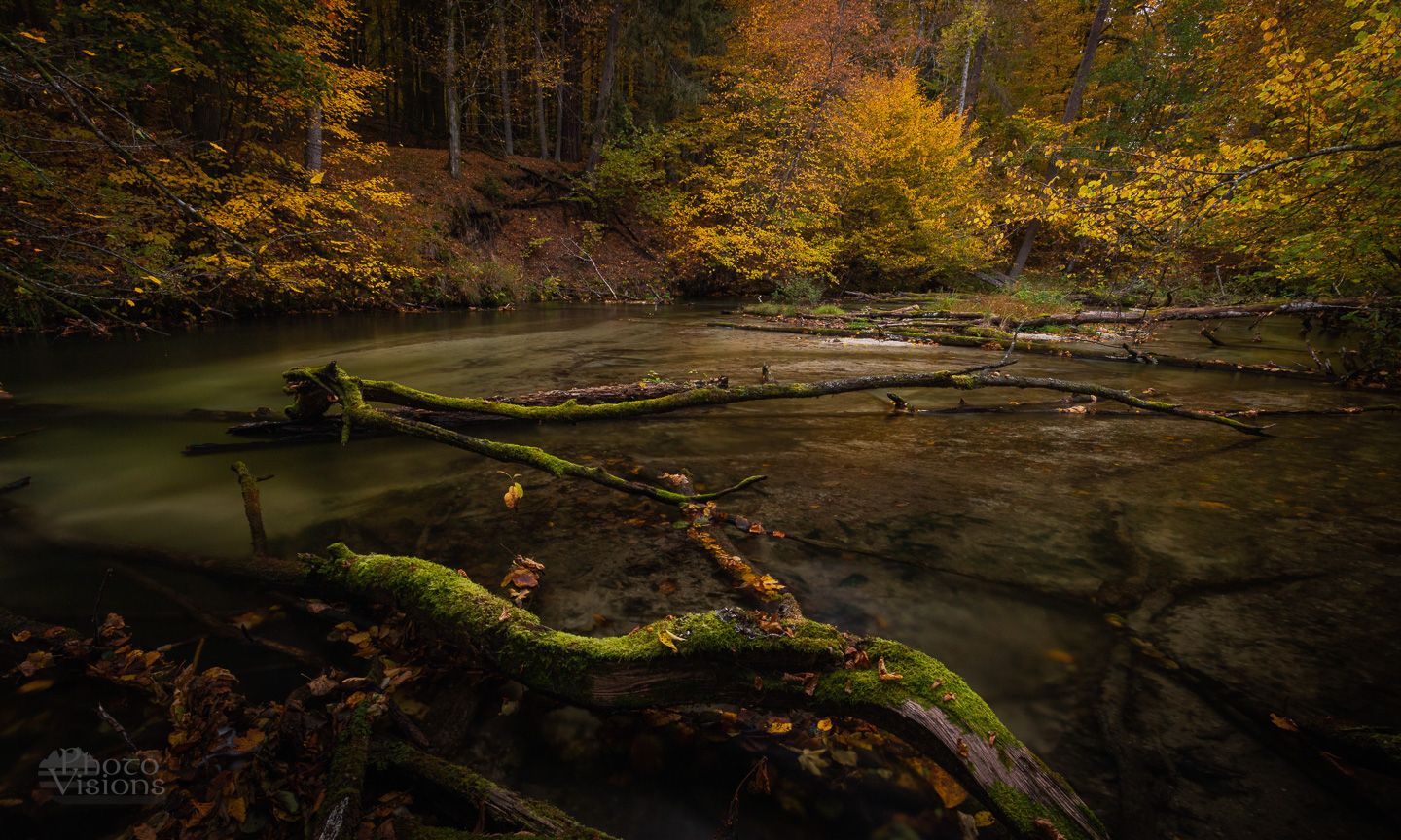river,forest,autumn,water,trees,autumnal,, Photo Visions