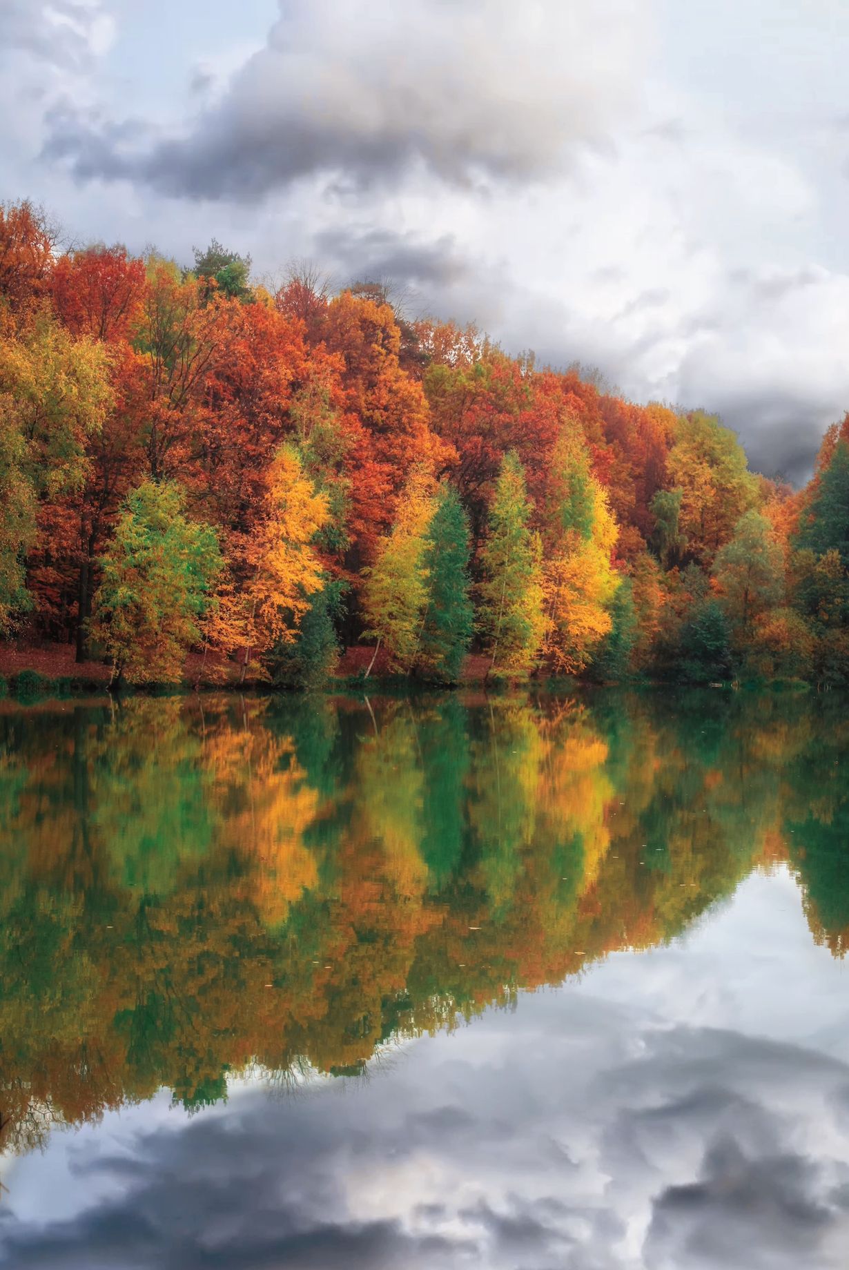 осень, природа, пейзаж, autumn, goldautumn, nature, landscape, золотаяосень, отражение, пруд, reflection, Julia Kaissa