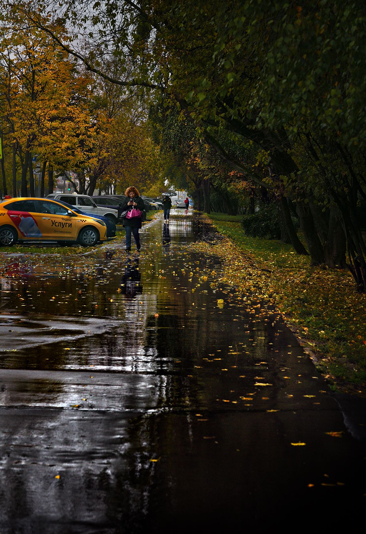 осень, дождь, город, Vera Trandina