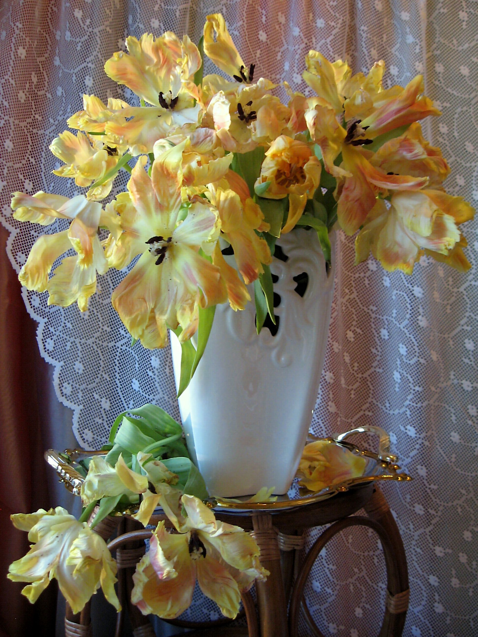 цветы, букет, тюльпаны, желтый цвет, ваза, поднос, занавеска, Наталия Тихомирова