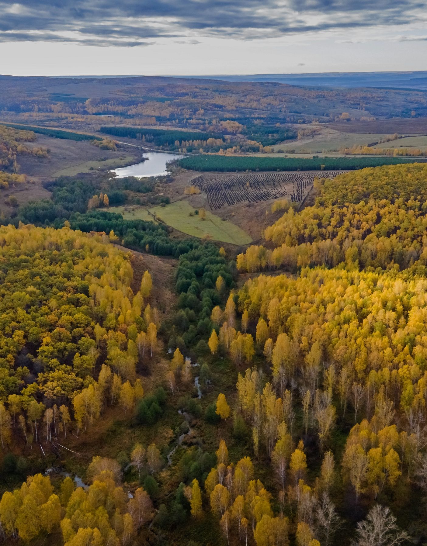 , Максим Подосинников