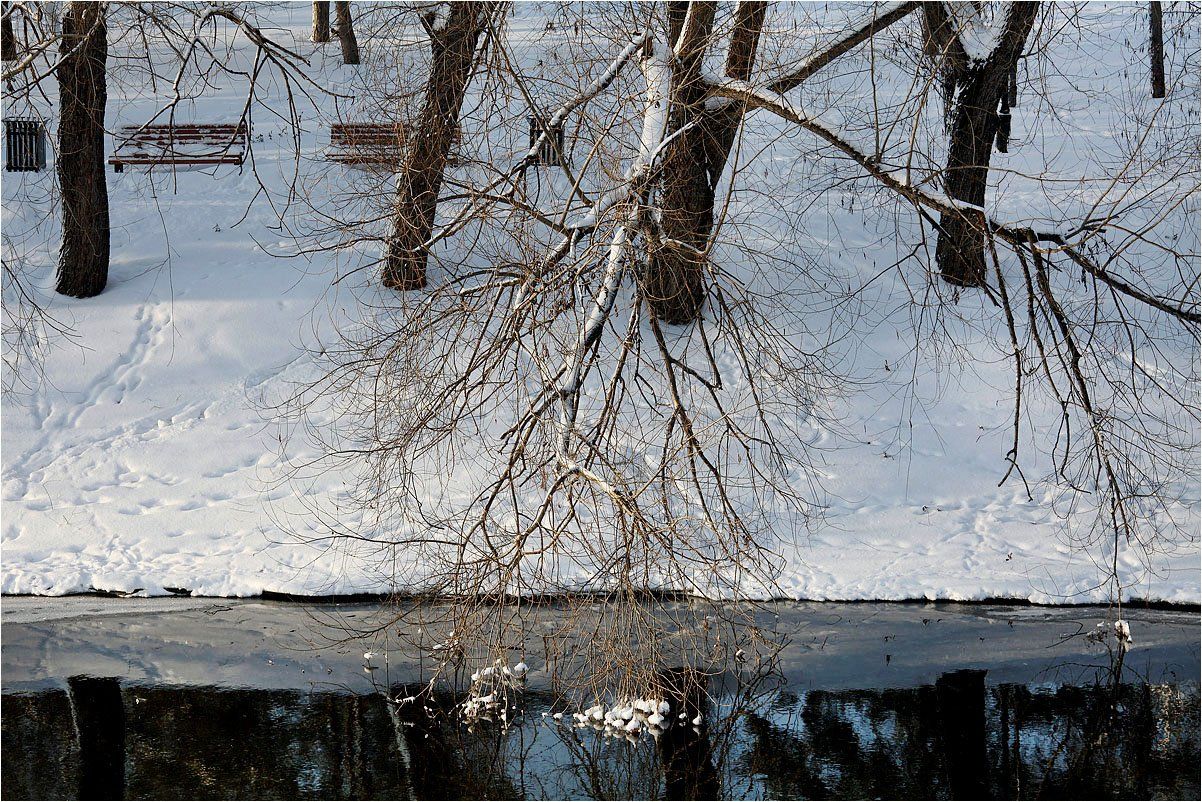 зима, река, снег, берег, деревья, отражение,, Victor Pechenev