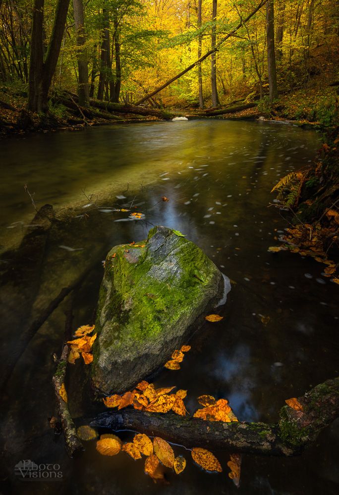autumn,river,nature,autumnal,water,forest,woodland,woods,trees,leaves,colorful,, Photo Visions