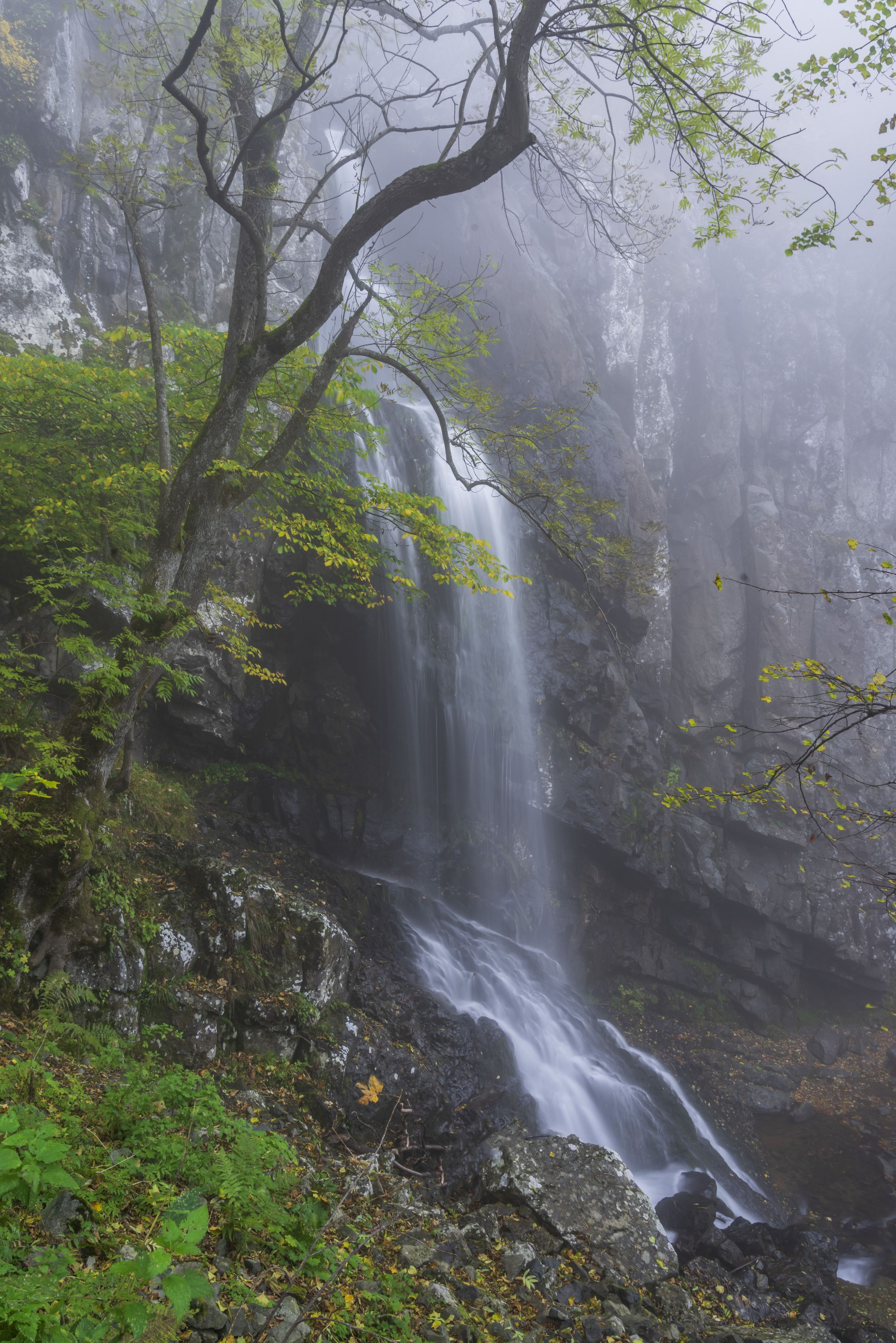 landscape nature vertical hiking waterfall, viktor demidov