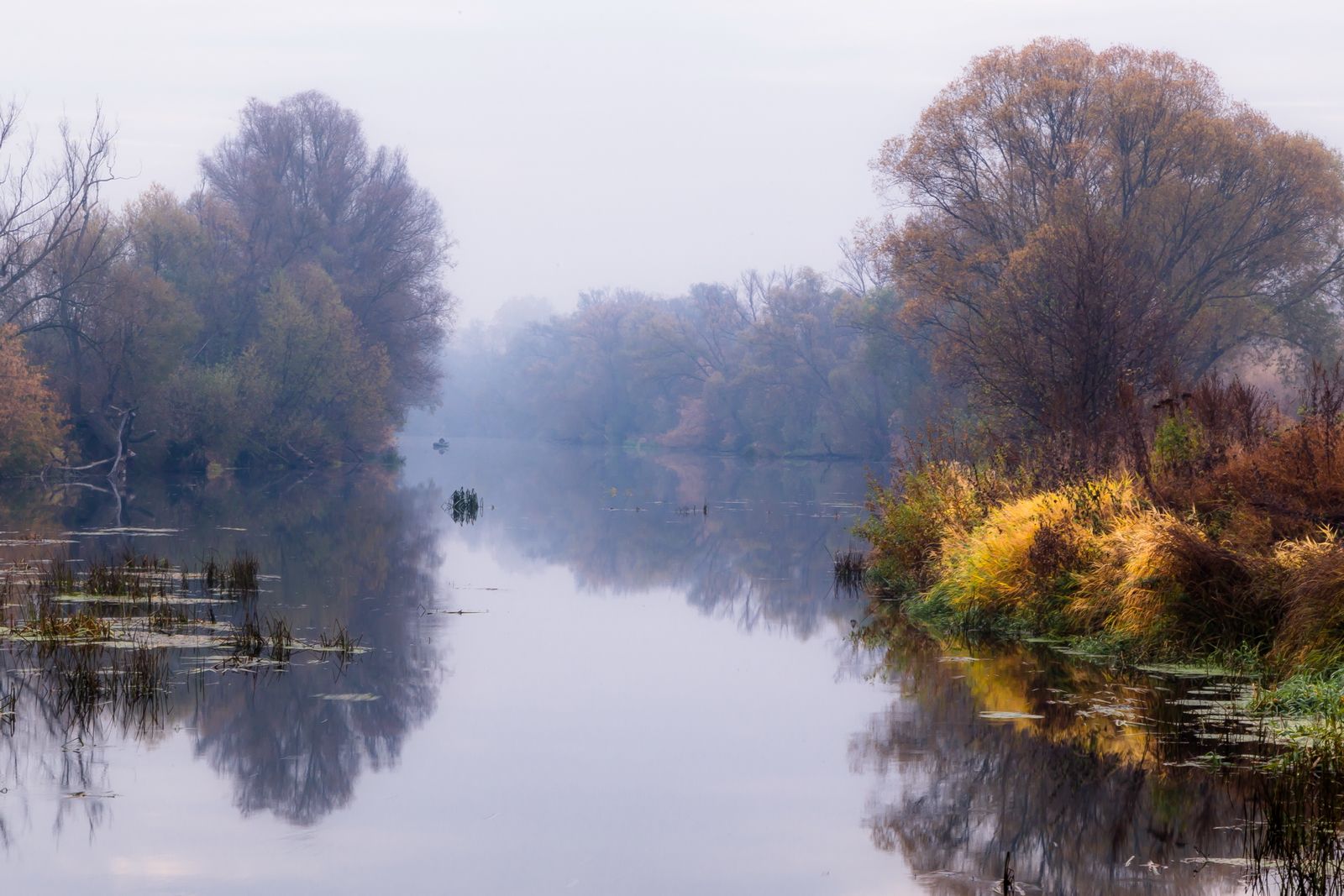 осень, река, туман, прохлада, пейзаж, Юрий Морозов
