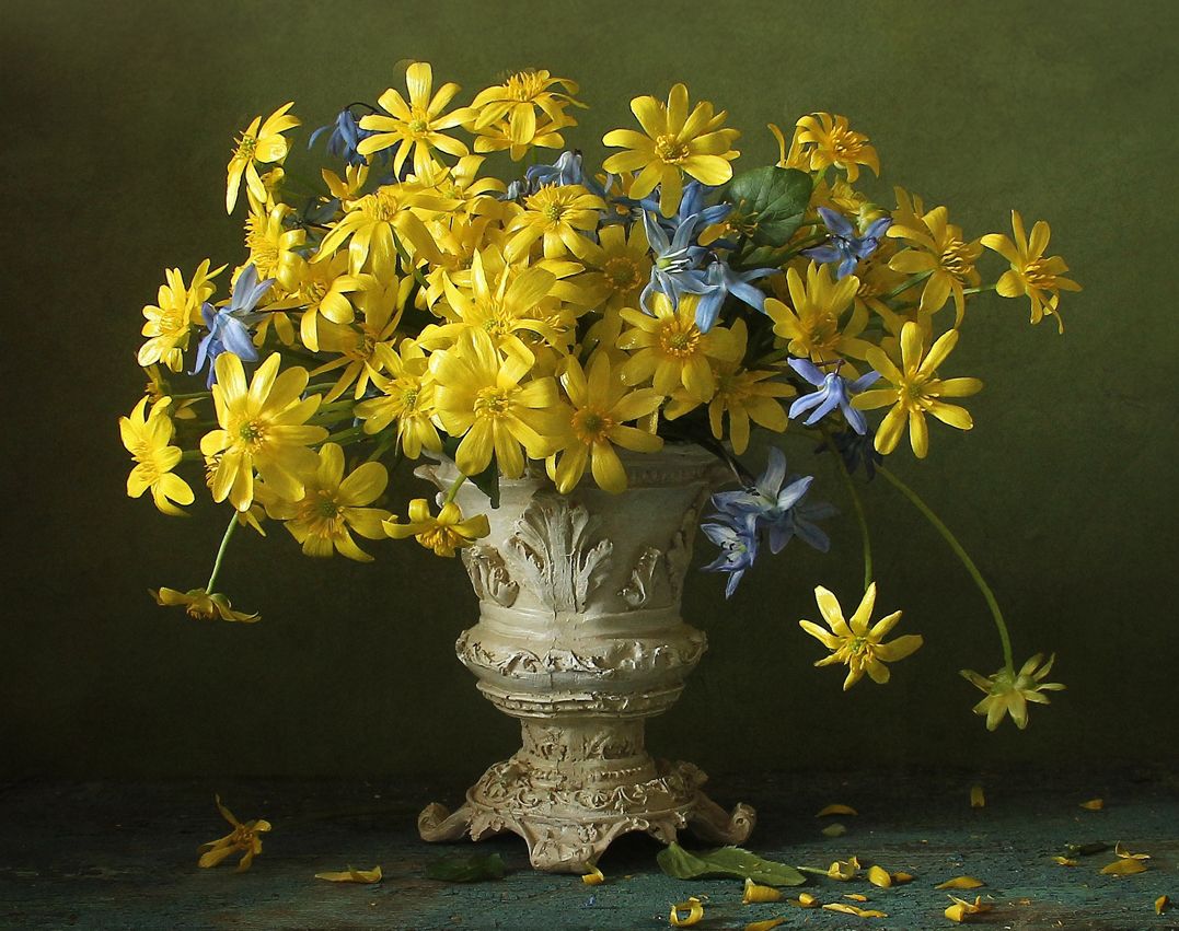 натюрморт, цветы, калужница, весна, марина филатова, Марина Филатова