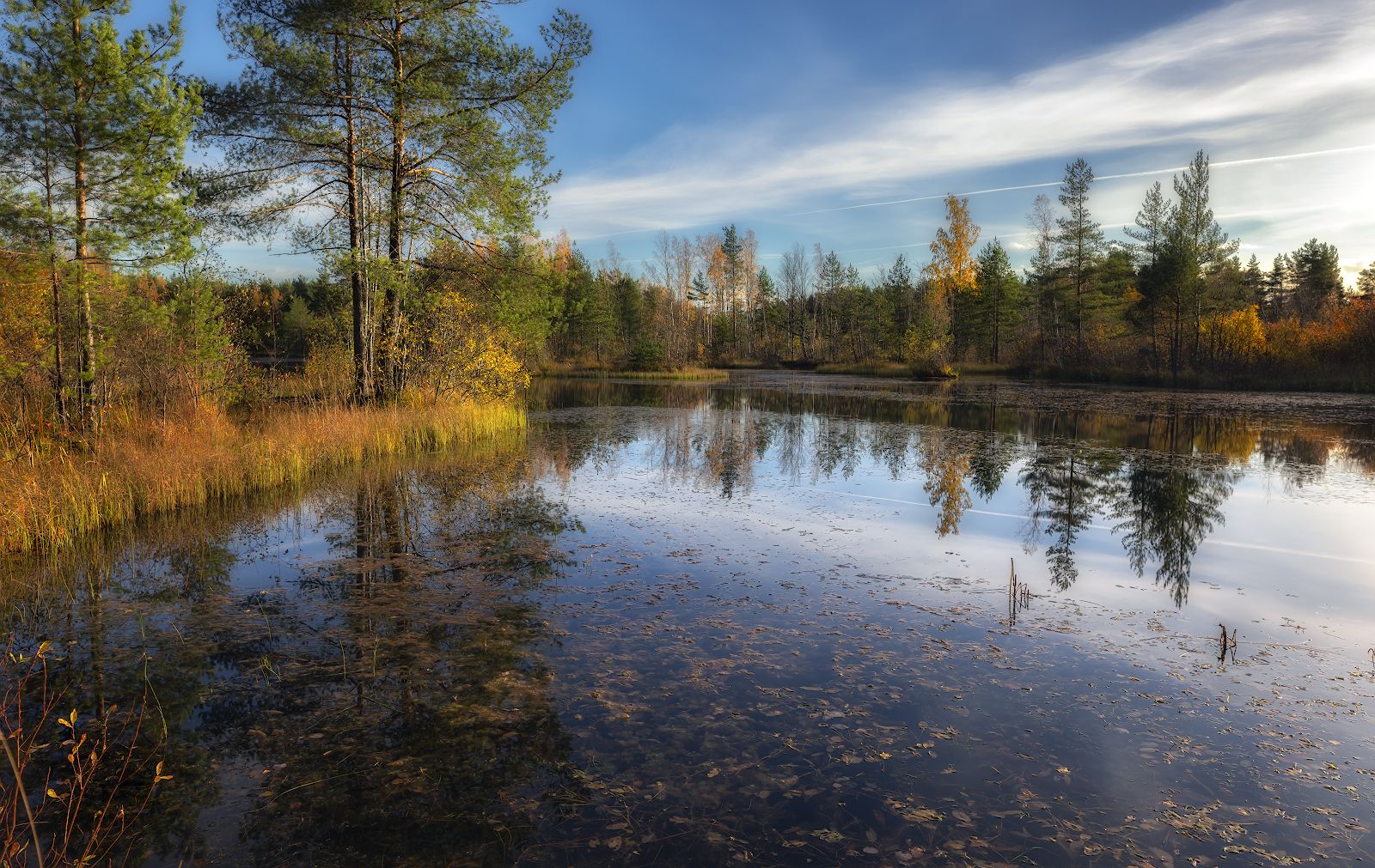 осень октябрь озеро болото вечер закат деревья отражение небо, Скороходов Константин