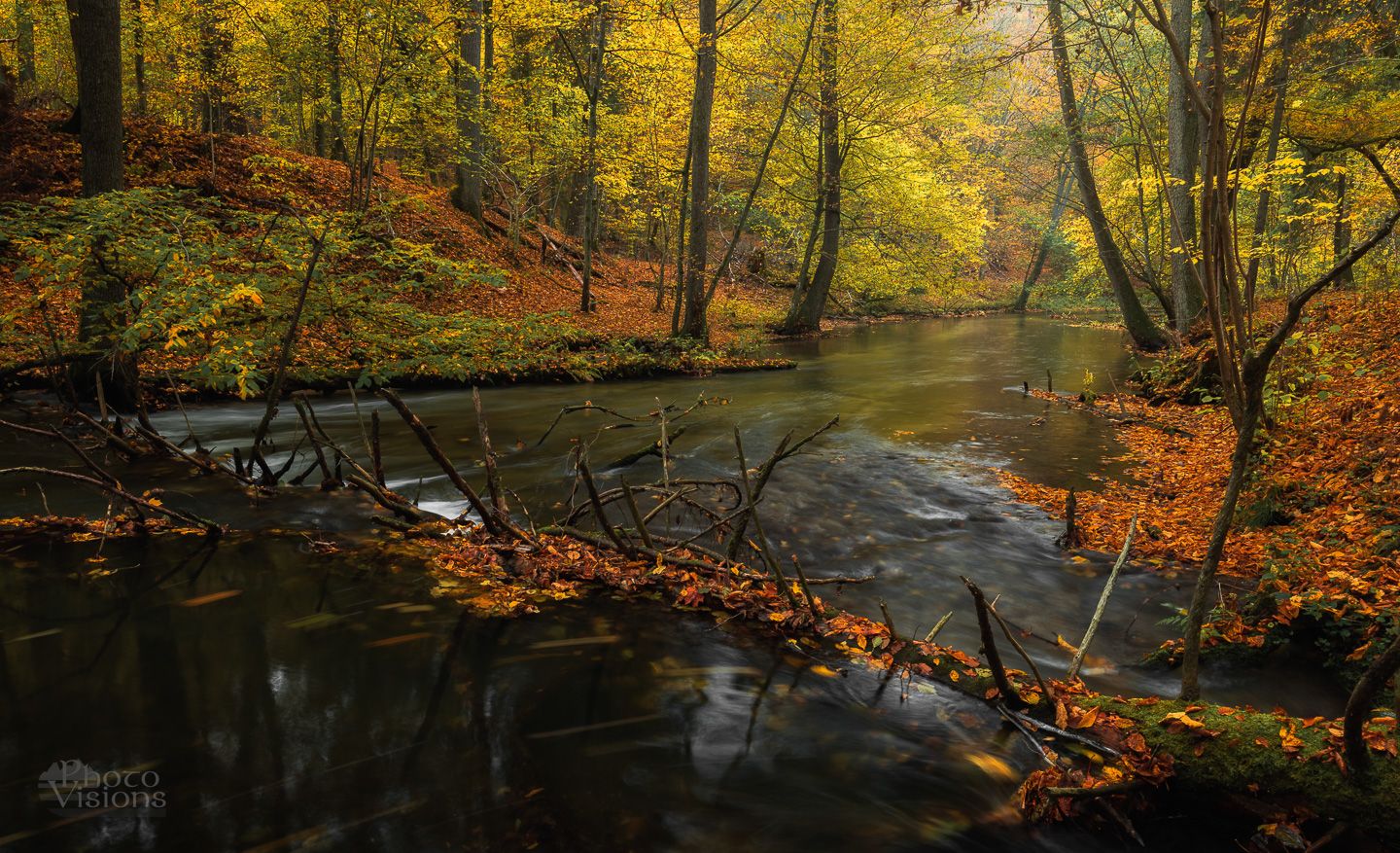 forest,river,woods,trees,autumnal,autumn,water, Photo Visions