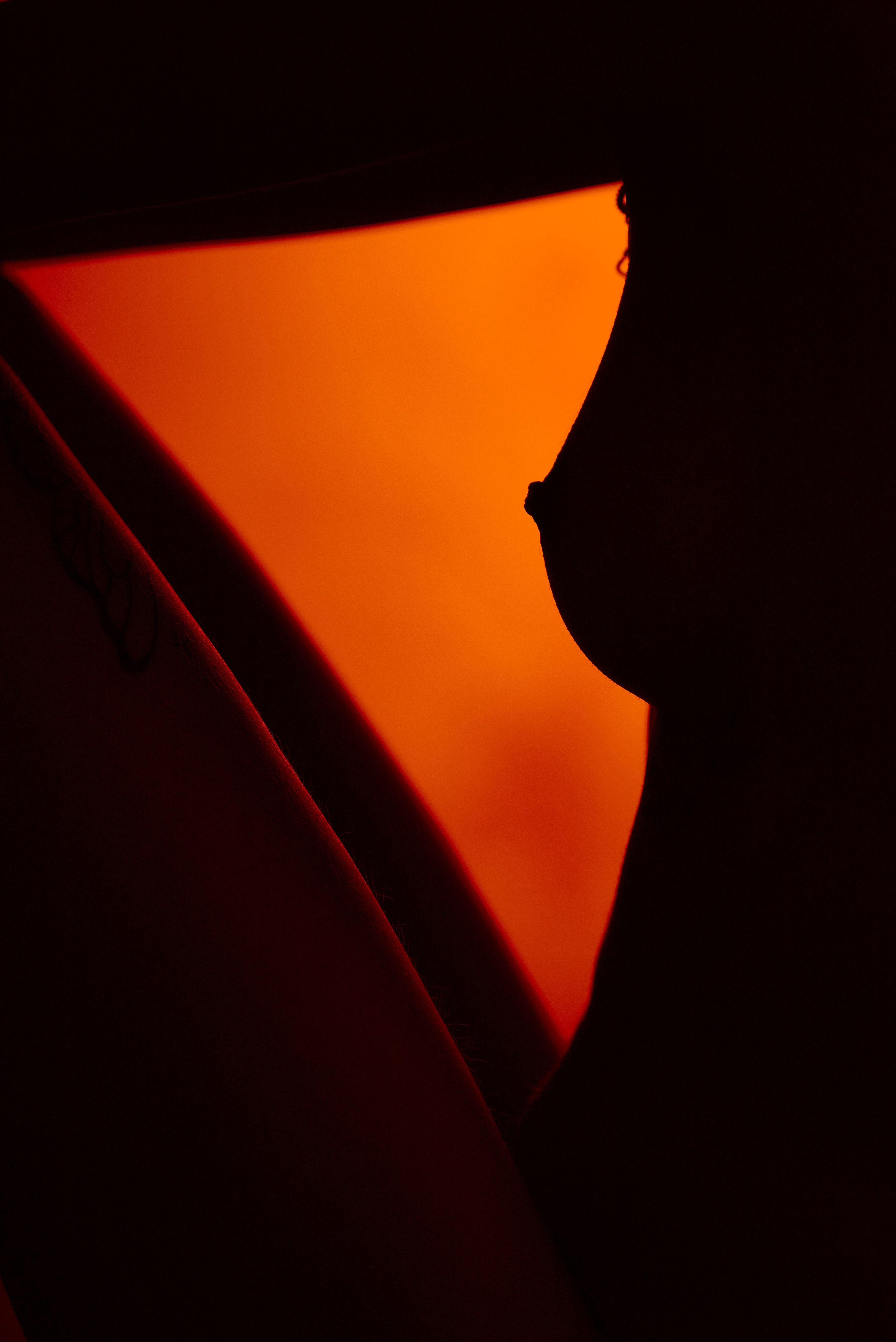 nude female silhouette, shot in low key, Андрей Халемонец
