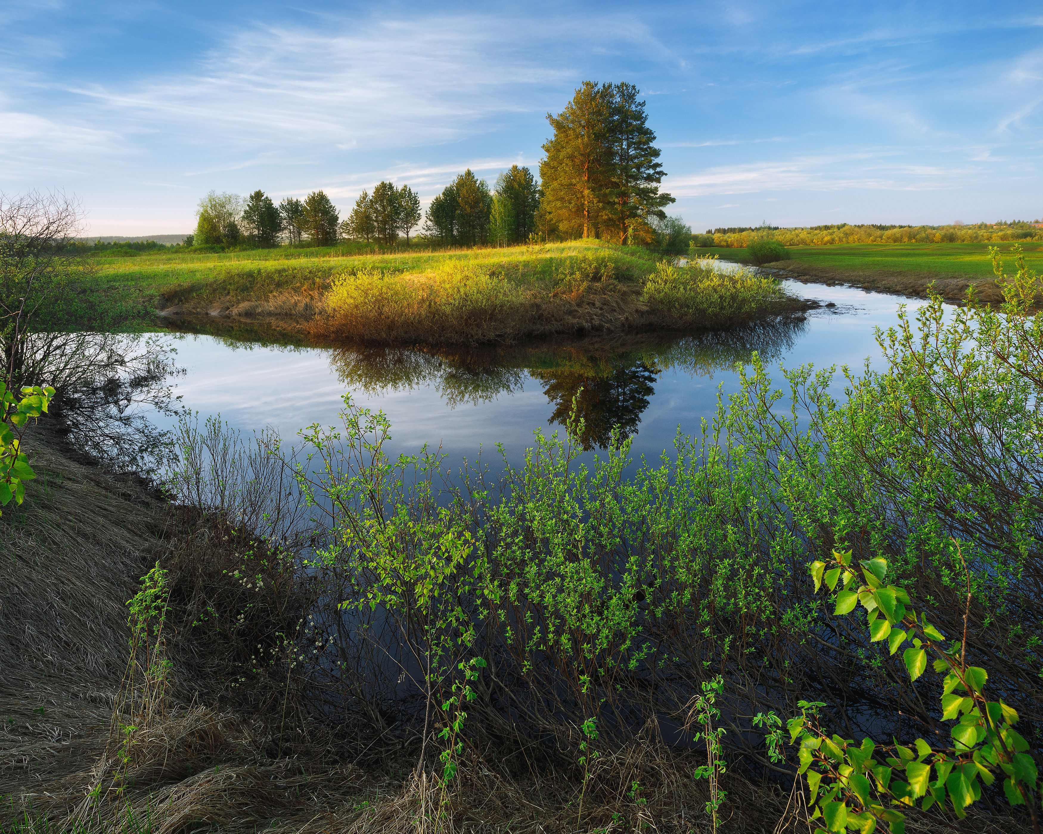 Усть кулом республика. Река Пожег Республика Коми. Природа Усть Кулома.