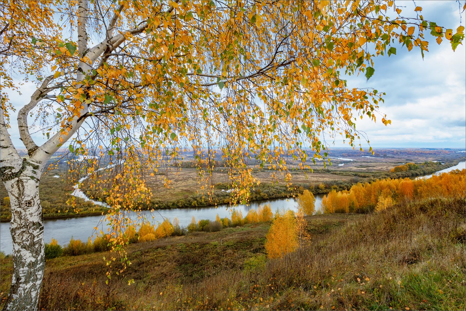 пейзаж, осень, река, деревья, свет, цвет, александр никитинский, Никитинский Александр