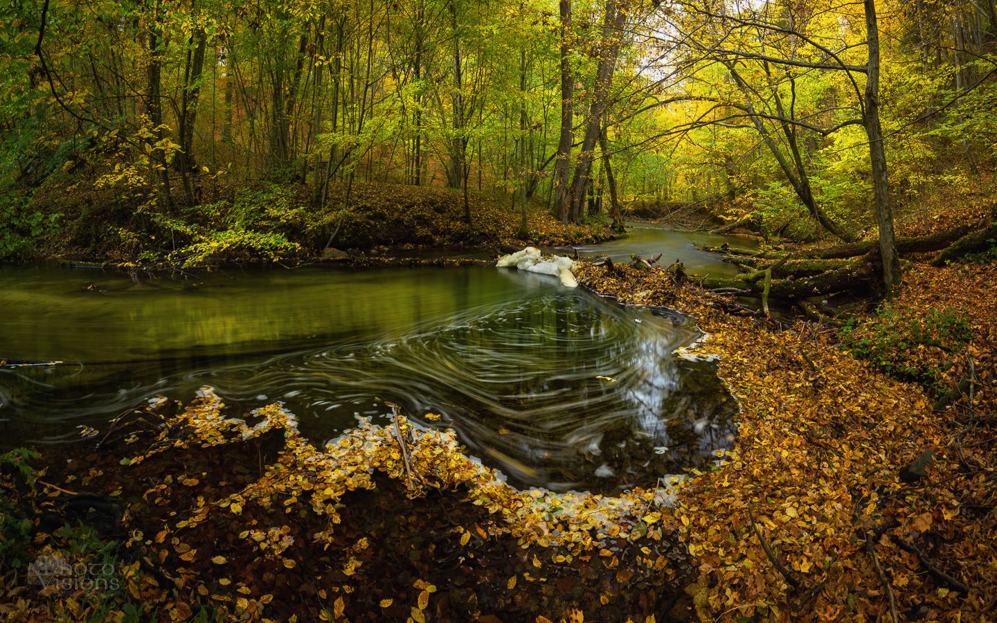 river,forest,woods,woodland,autumn,autumnal,poland,polish,, Photo Visions
