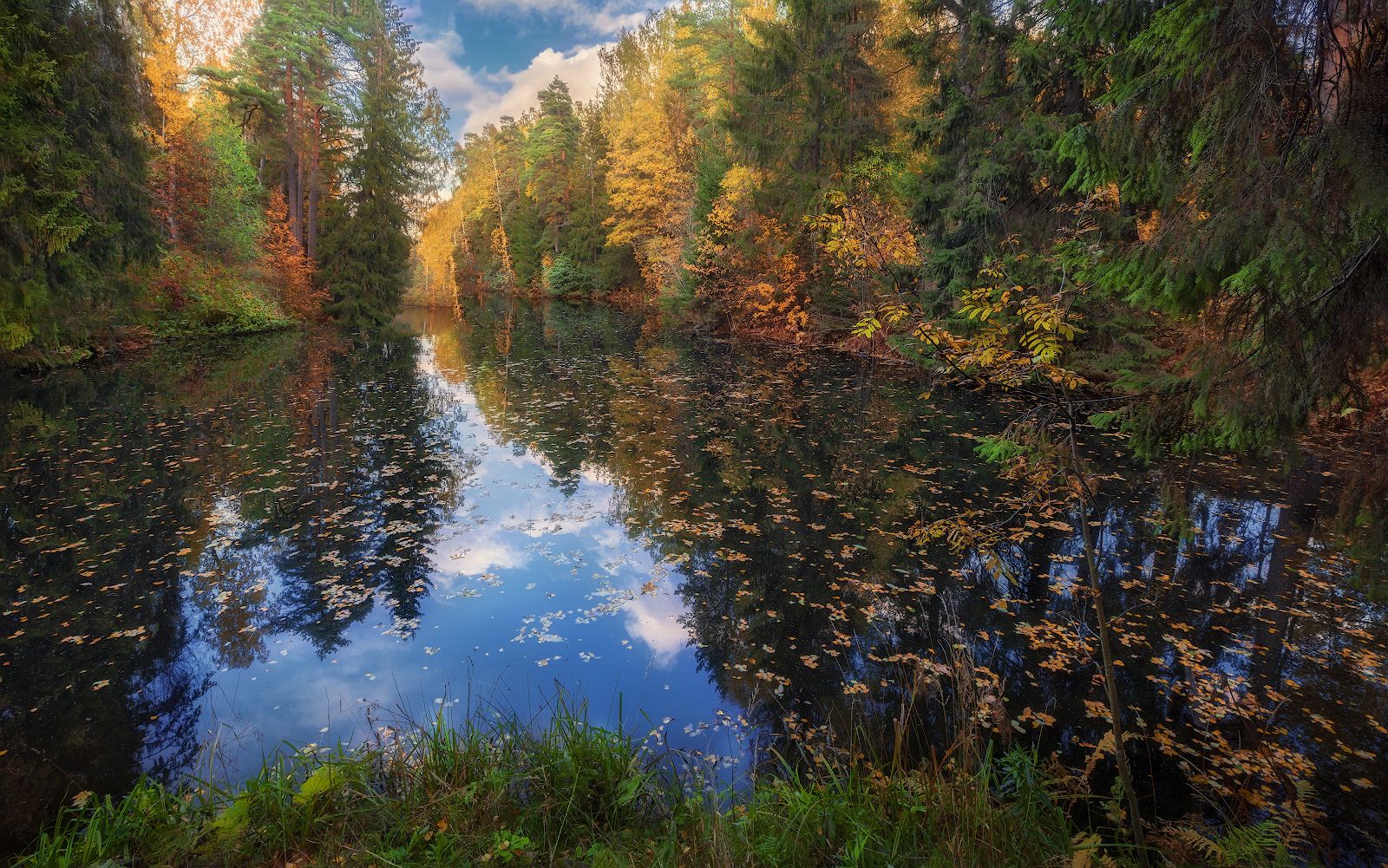 осень октябрь вечер листопад река деревья отражение, Скороходов Константин