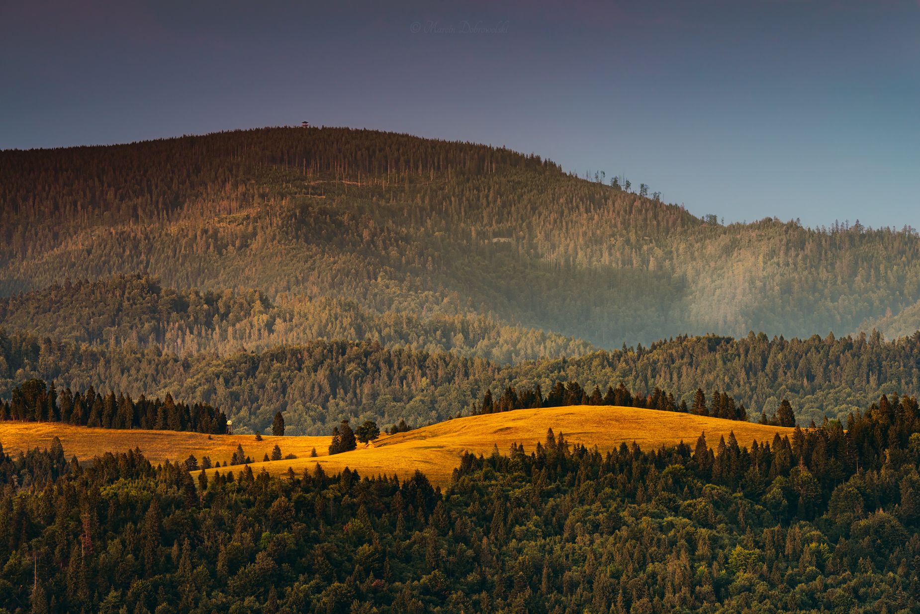 carpathians, clearing, forest, karpaty, landscape, mountains, mountainscape, pieniny, plants, poland, polska, sky, trees, warm, watchtower, radziejowa, lookout tower, radziejowa, jarmuta, stary wierch,  Marcin Dobrowolski