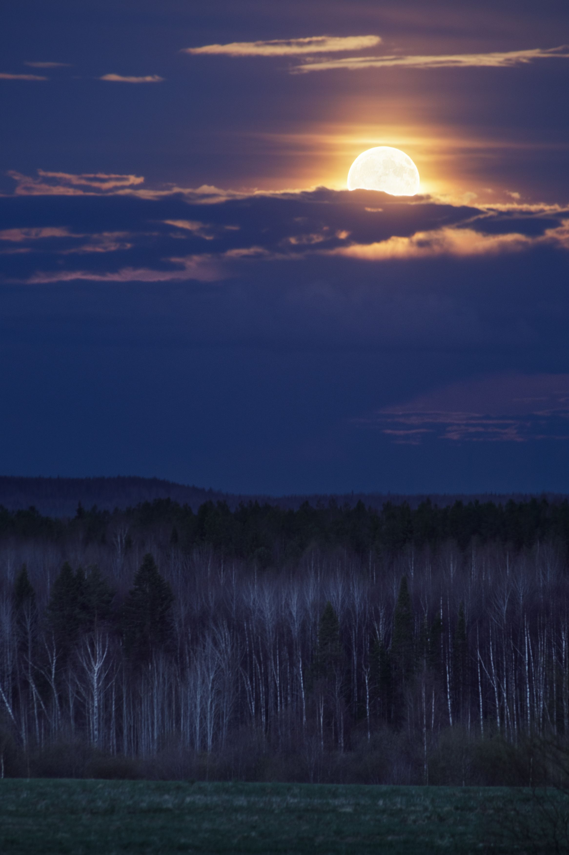 пейзаж, ночь, луна, весна, облака, ночнойпейзаж, moon, nightscape, landscape, spring, Иван Чаланов