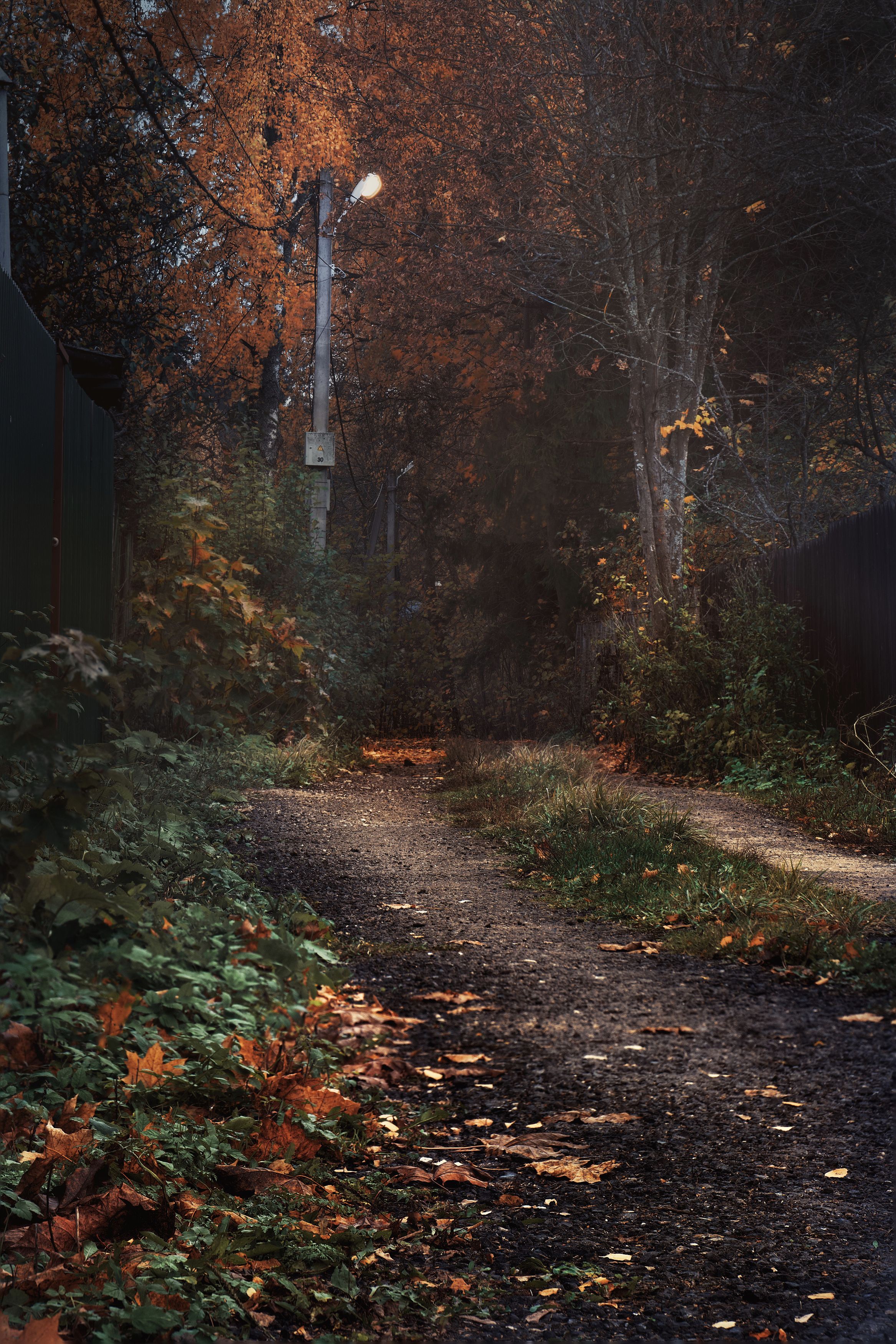 осень, autumn, пейзаж, landscape, фонарь, улица, спокойствие, загадочно, Gleb Kolobaev