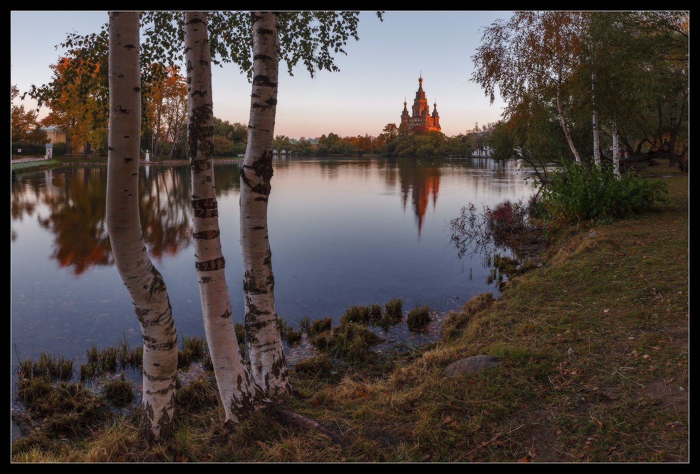 петергоф, ольгин, пруд, россия, осень, рассвет, петра и павла, собор, храм, Илья Штром