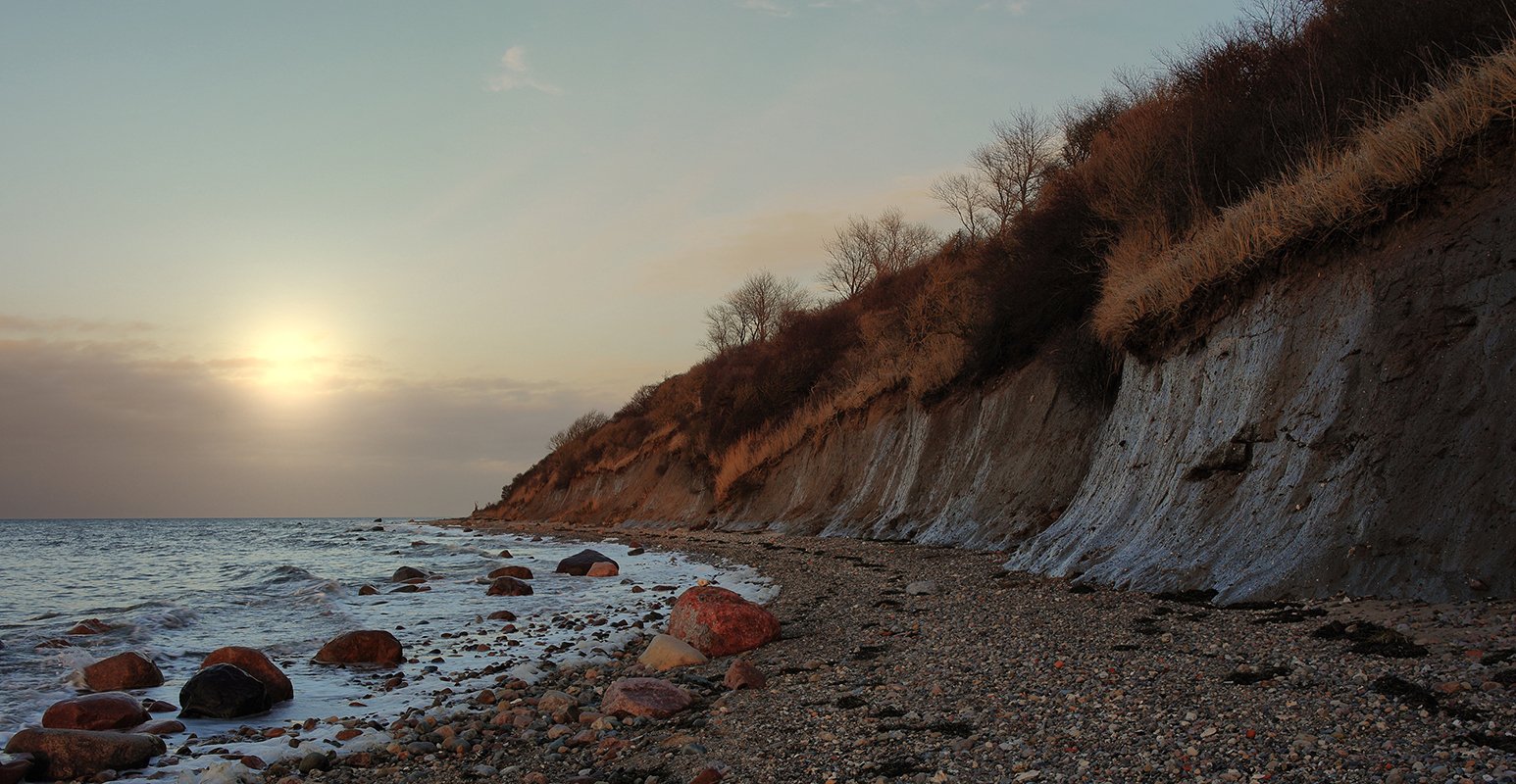 , Игорь Дубровский