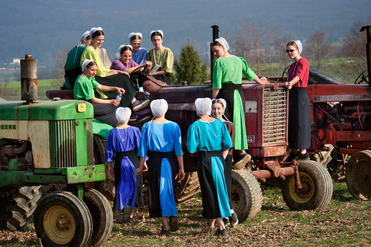 Amish,mud sale,lancaster county, Donald Reese