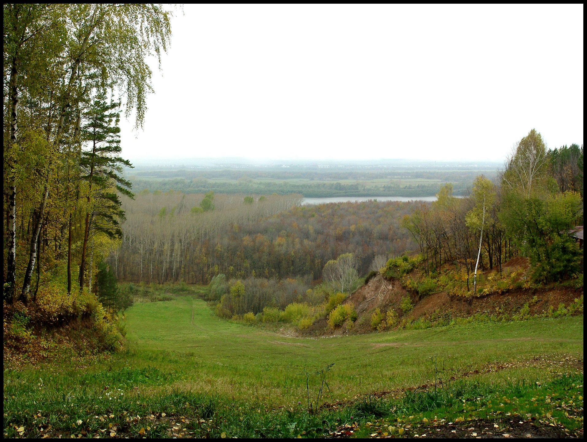 , Влад Меднов