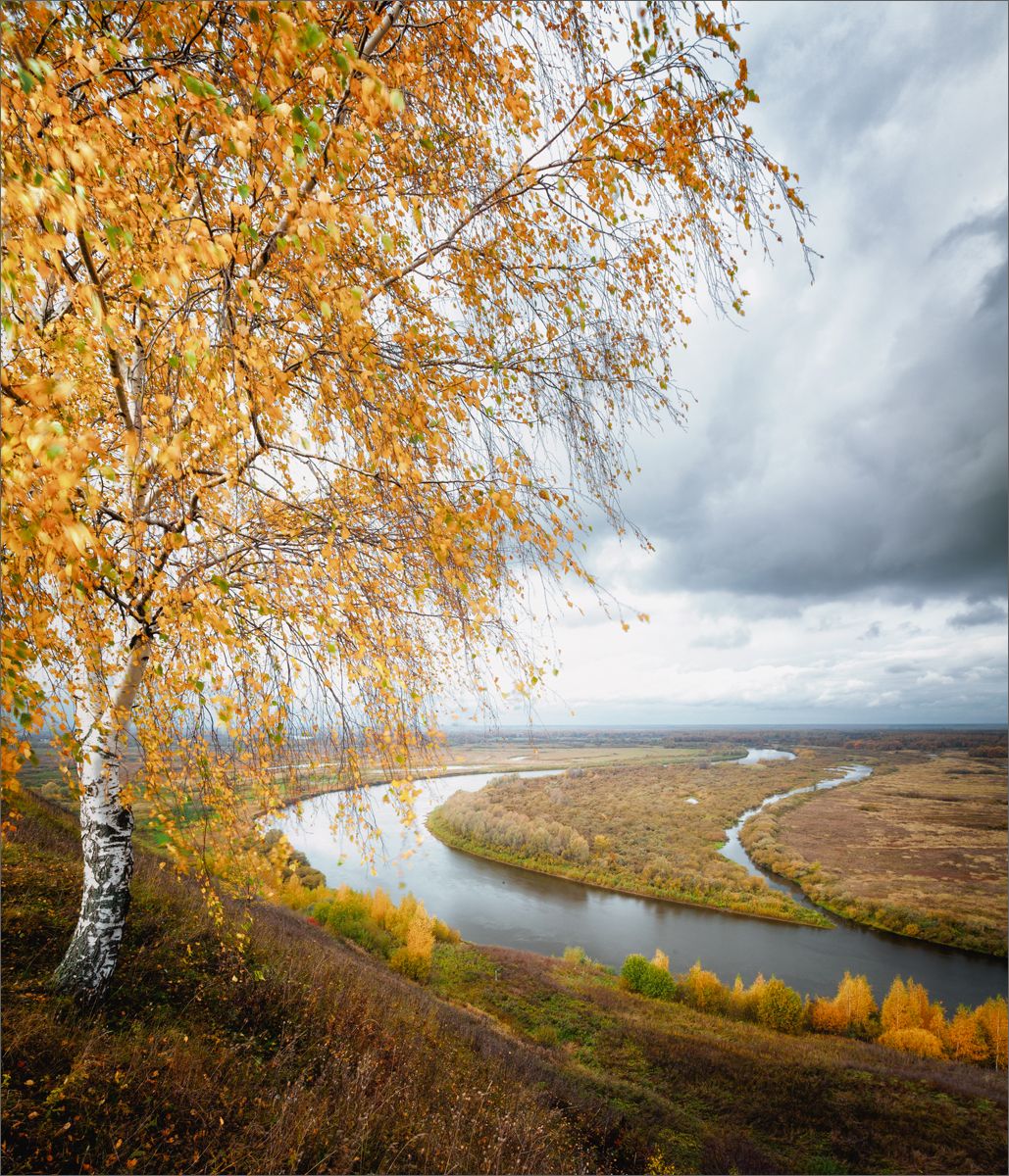 пейзаж, осень, река, деревья, свет, цвет, александр никитинский, Никитинский Александр