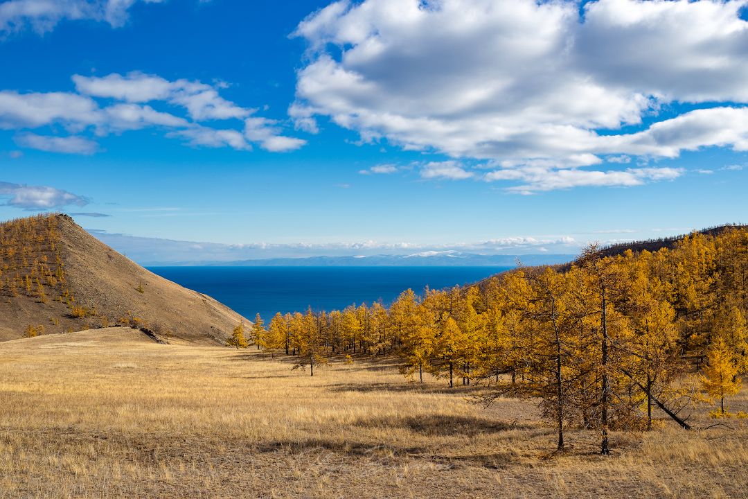 байкал, тажеранская степь, золотая осень на байкале, тажераны,, Буянов Илья