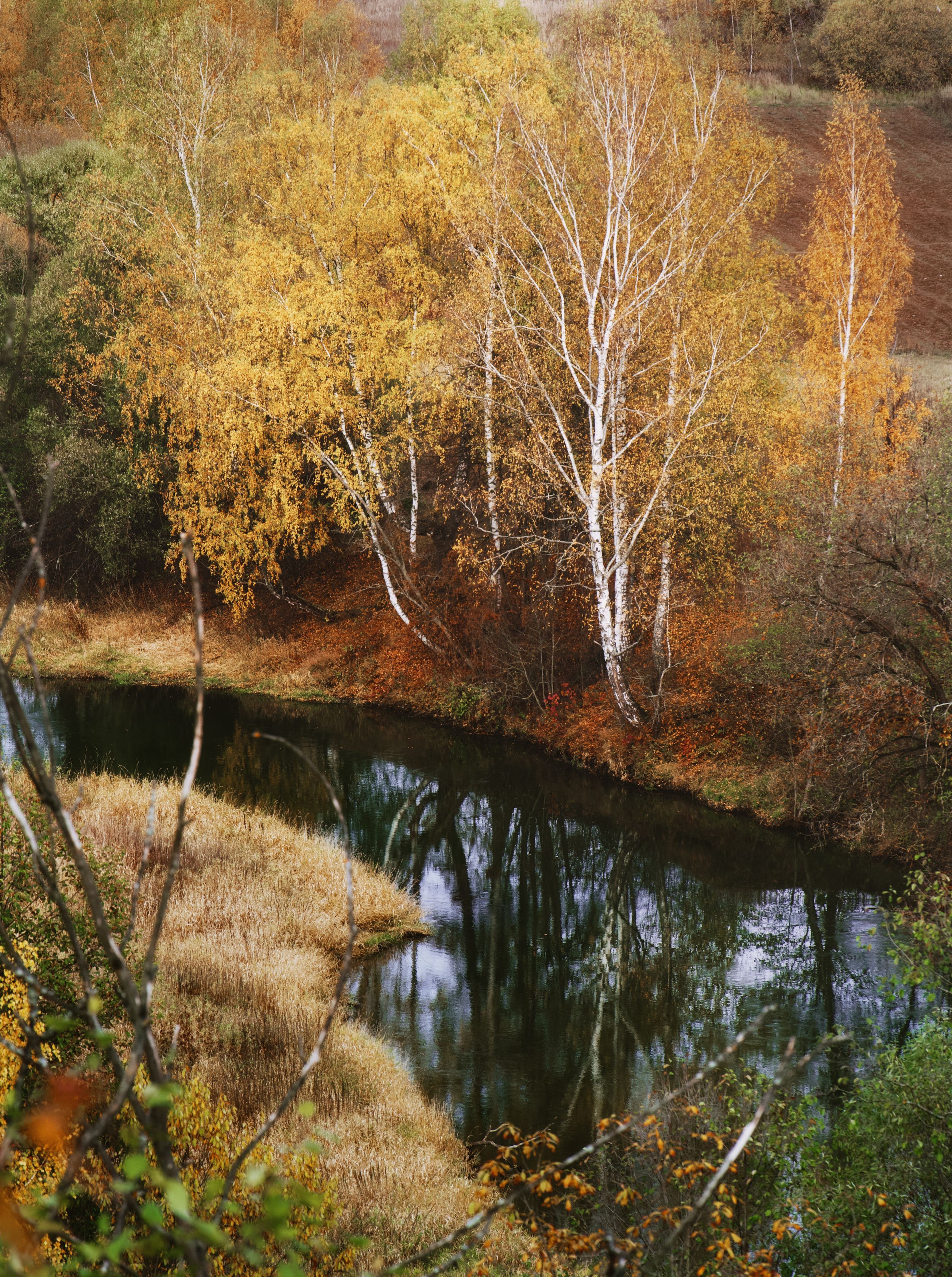 осень, autumn, пейзаж, landscape, река, листва, Колобаев Глеб