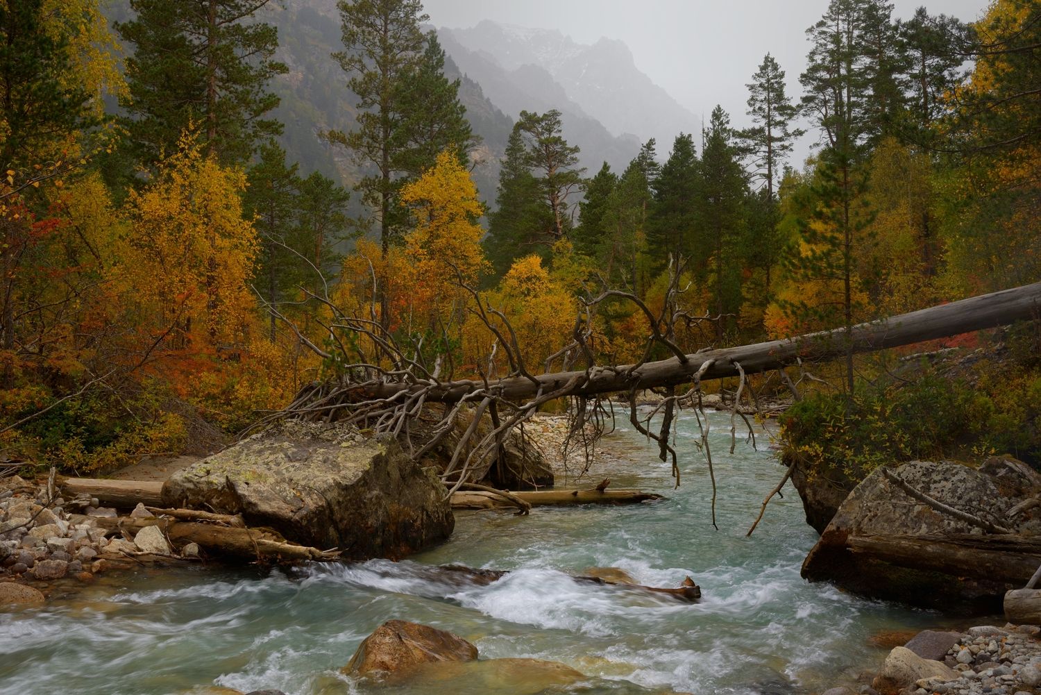 осень листва утро лес река, Александр Жарников