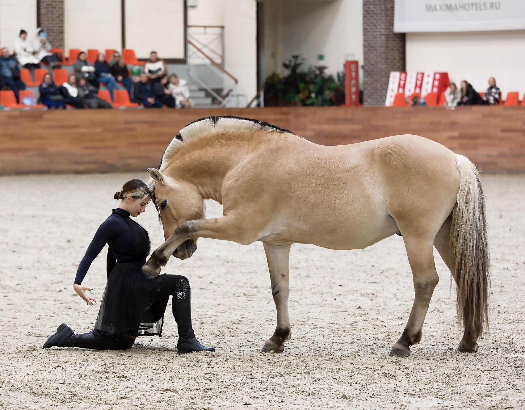 девушка, лошадь,спорт, выступление,красота, girl, horse, friends, sport, beautiful, Yulia Stukalova