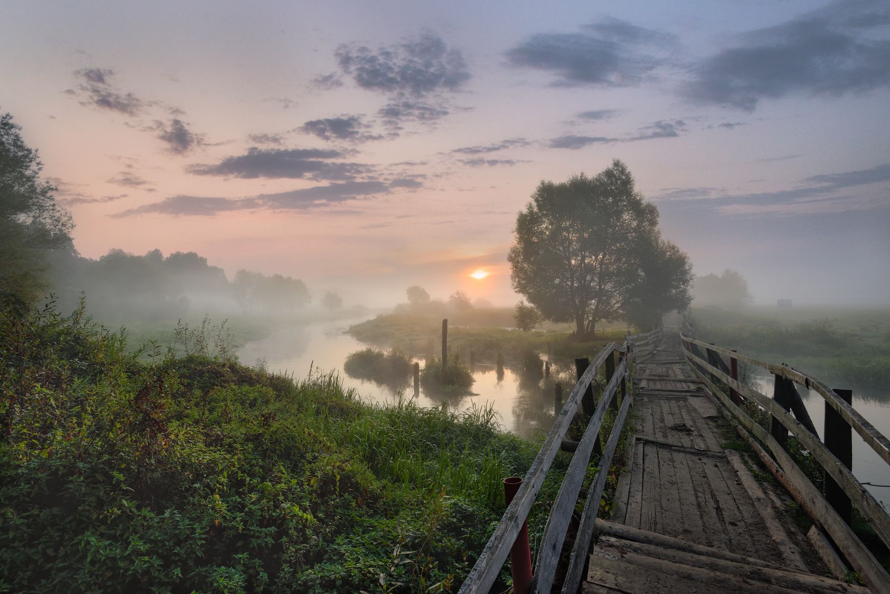 утро,туман,река, солнце, небо, облака, мостик,филипповское, Виталий Полуэктов