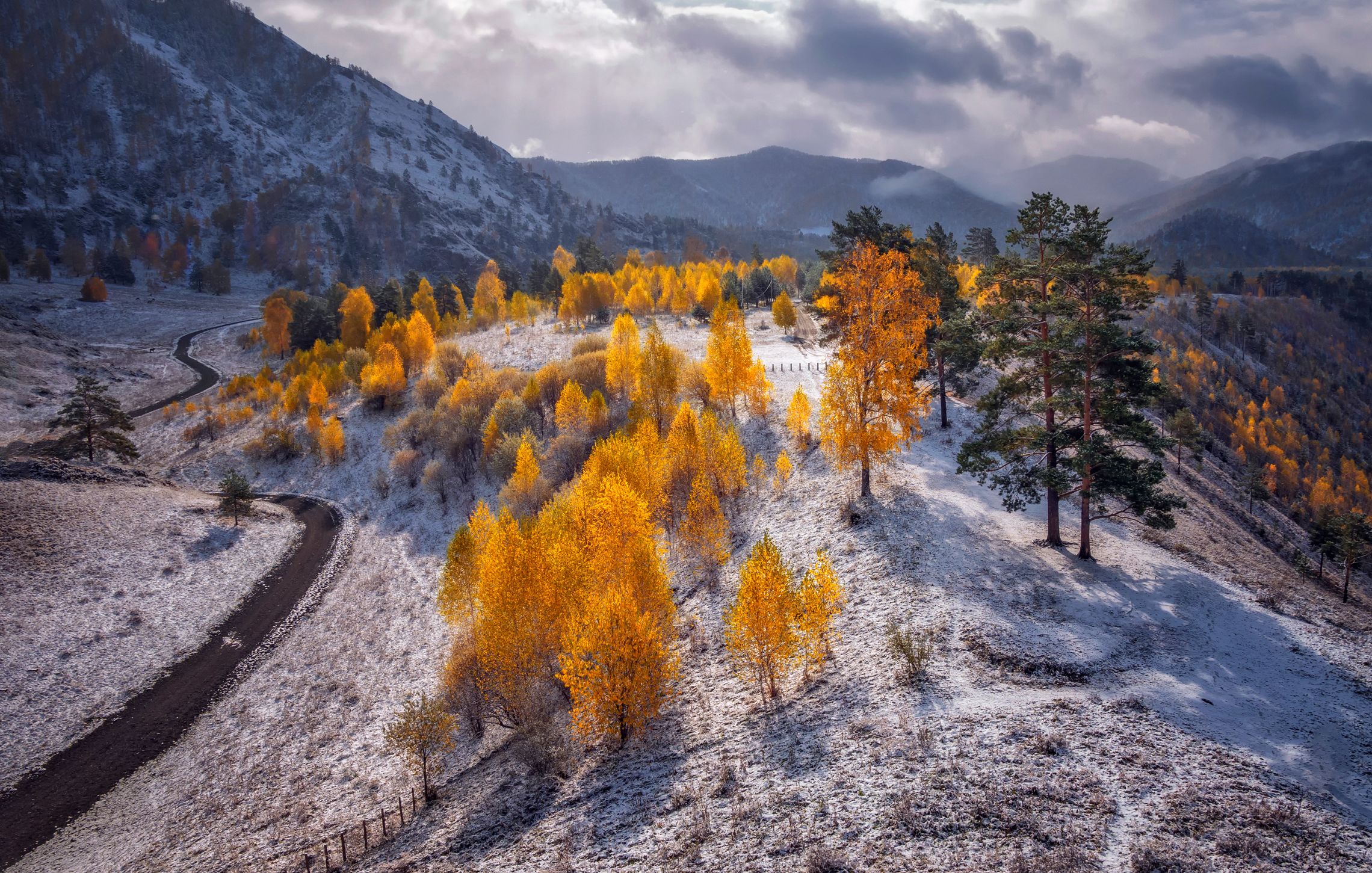 горный алтай,осень,сентябрь,хмурое утро,березы, снег, lora_pavlova