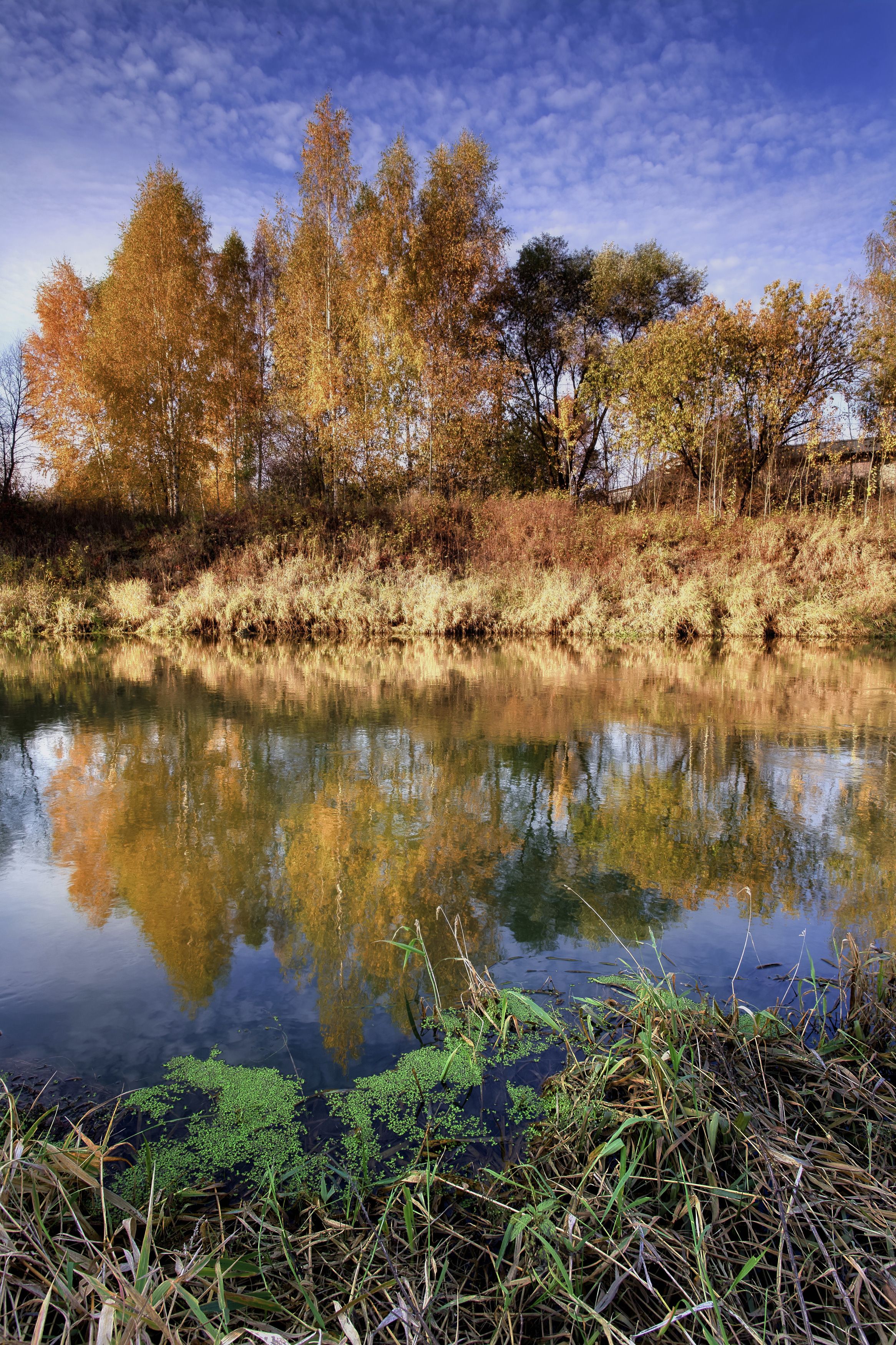осень, autumn, пейзаж, landscape, река, листва, отражение, Колобаев Глеб