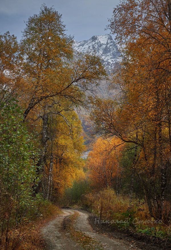 кавказ горы лес осень, Николай Стюбко