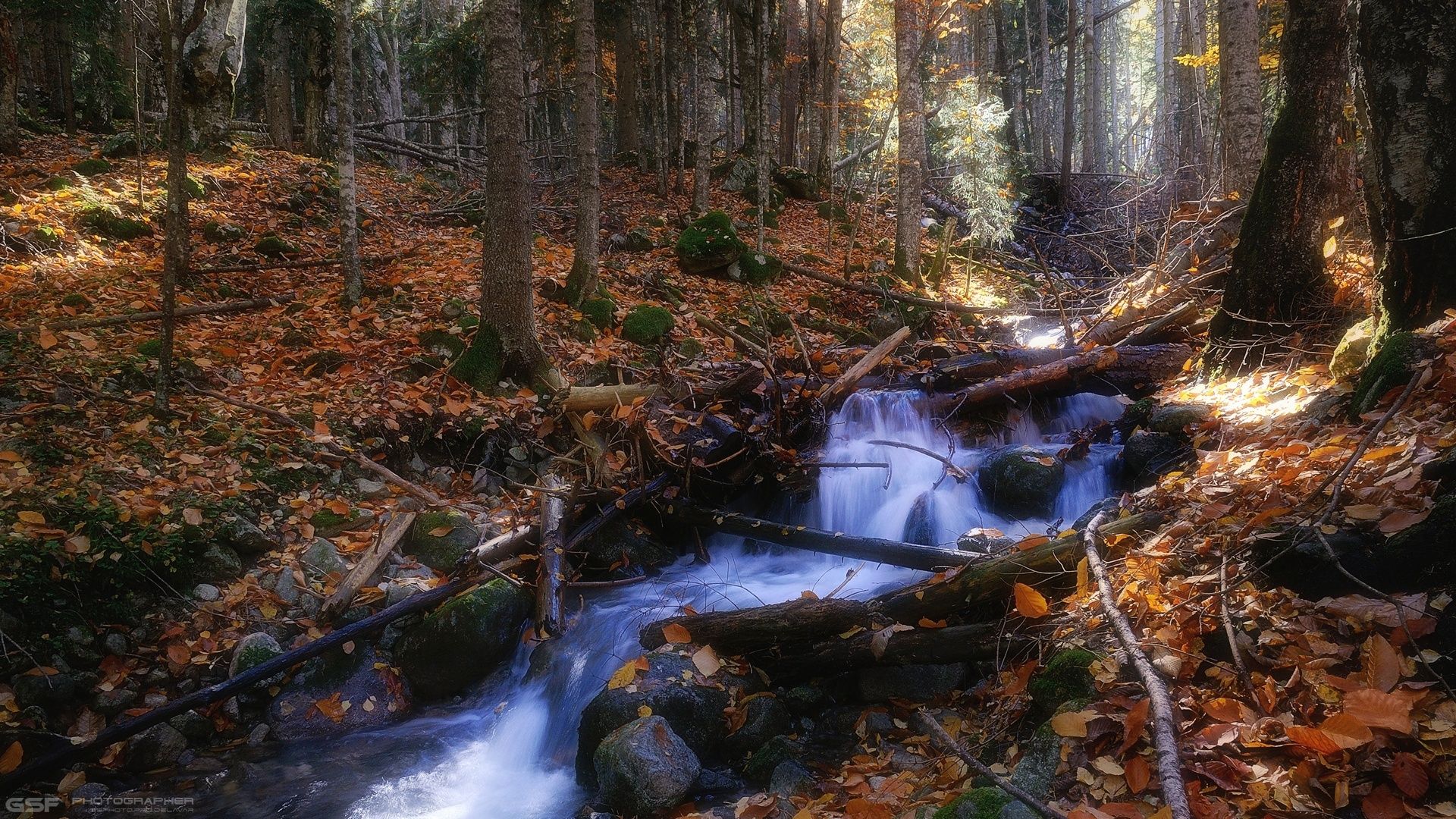 осень природа лес горы река пейзаж, Serj Master