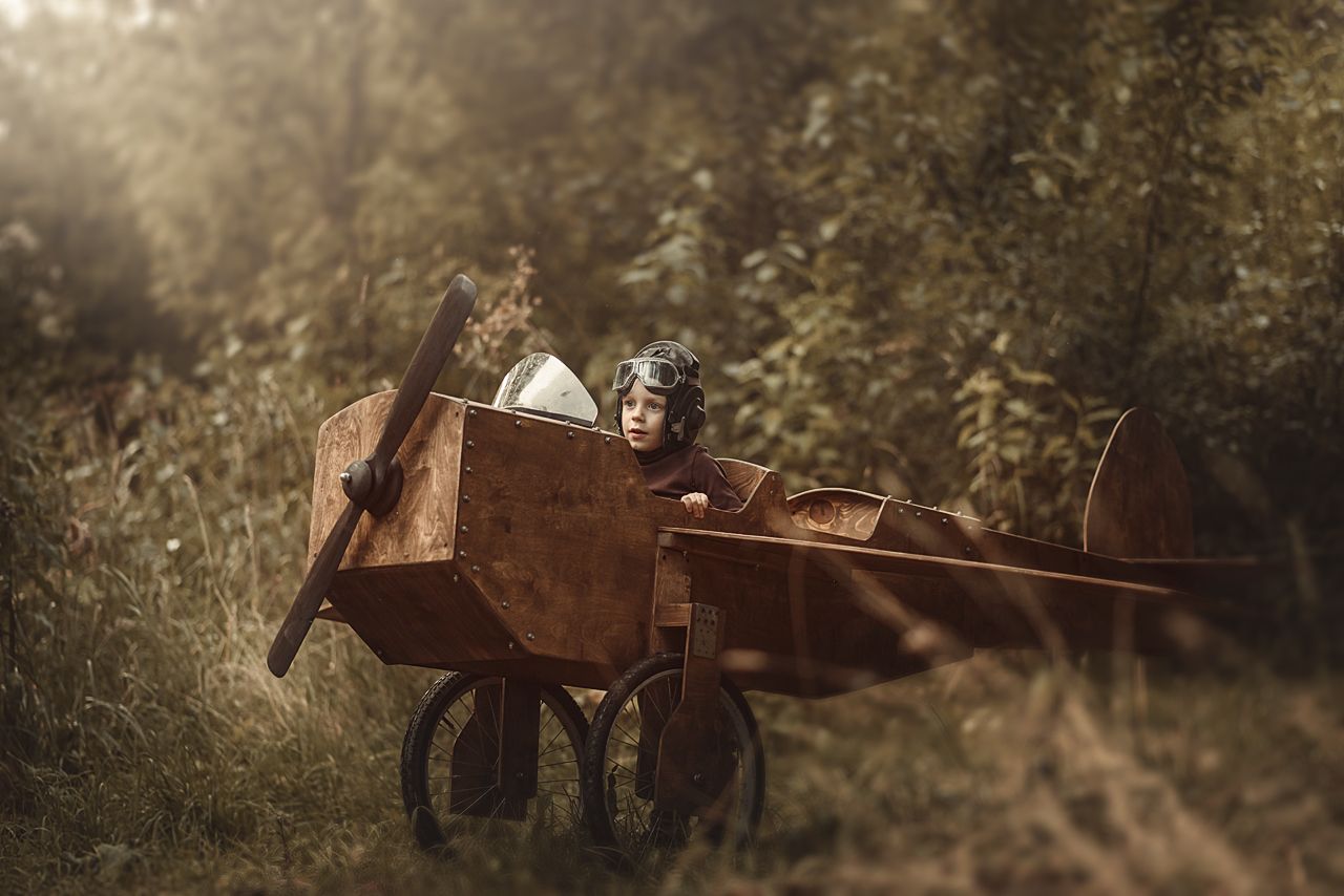 дети самолёт деревянные игрушки самоделка пилот , Андрей Перфилов