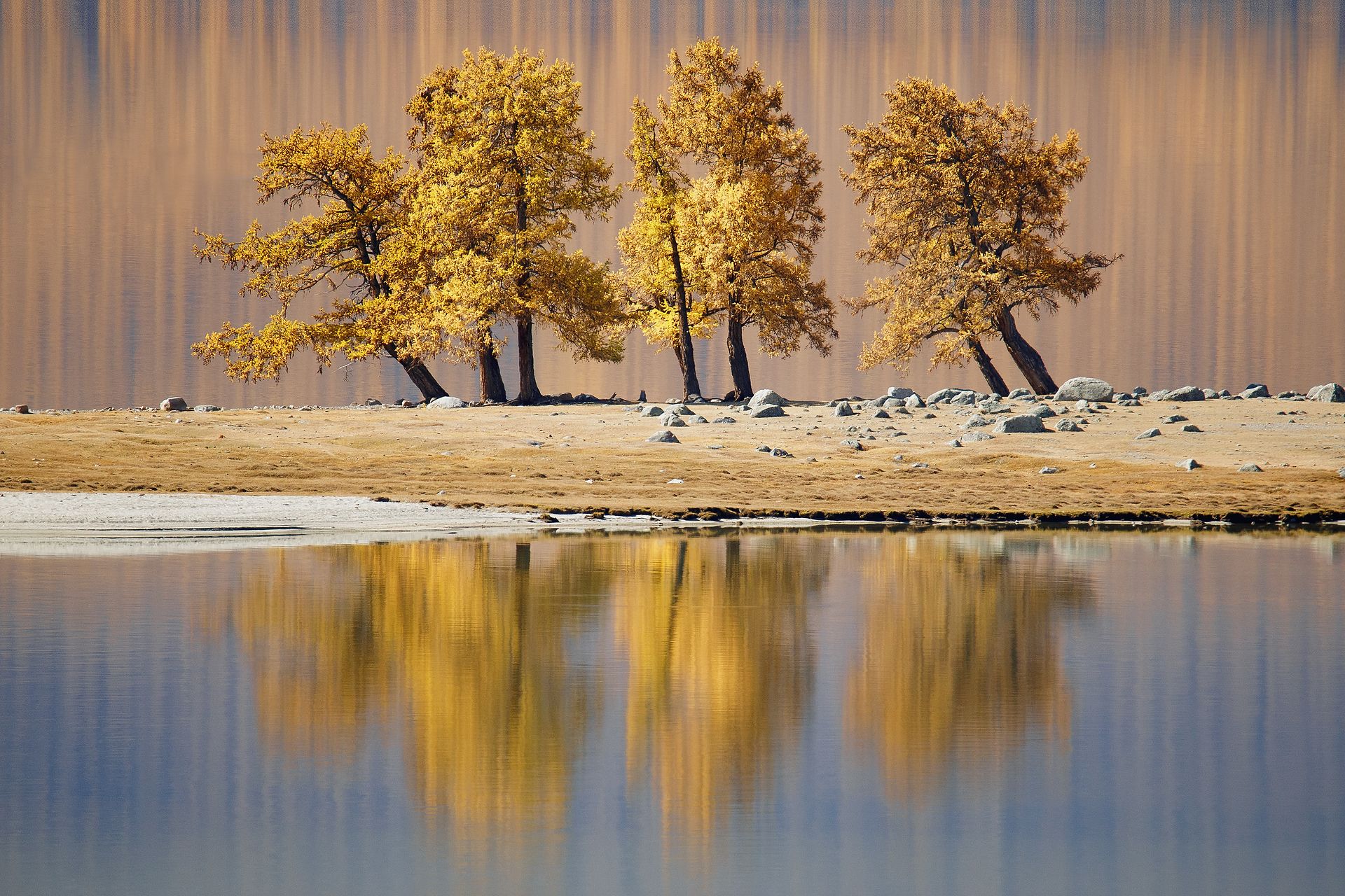 осень, лиственницы, озеро, горы, пейзаж, Александр Нерозя