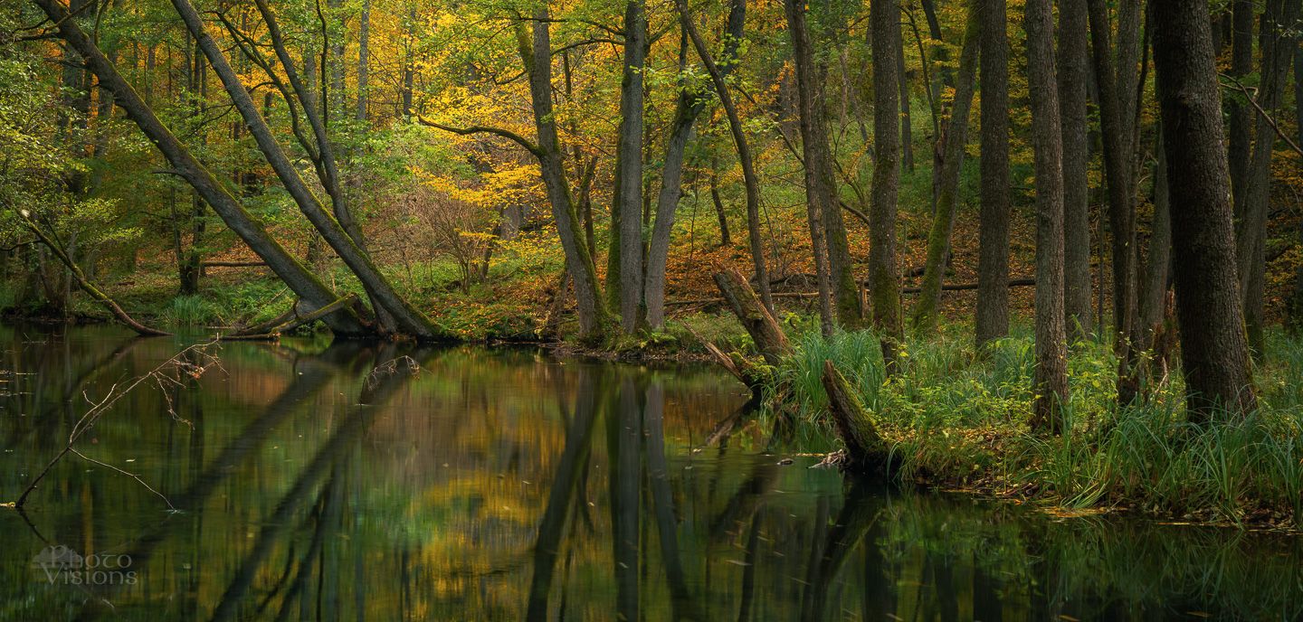 autumn,autumnal,trees,river,water,reflections,landscape,woods,woodland,forest,, Photo Visions