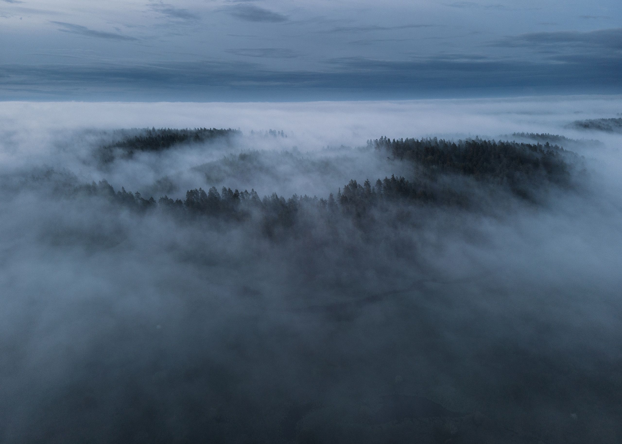 осень лес туман река пейзаж, Лутовкин Артём