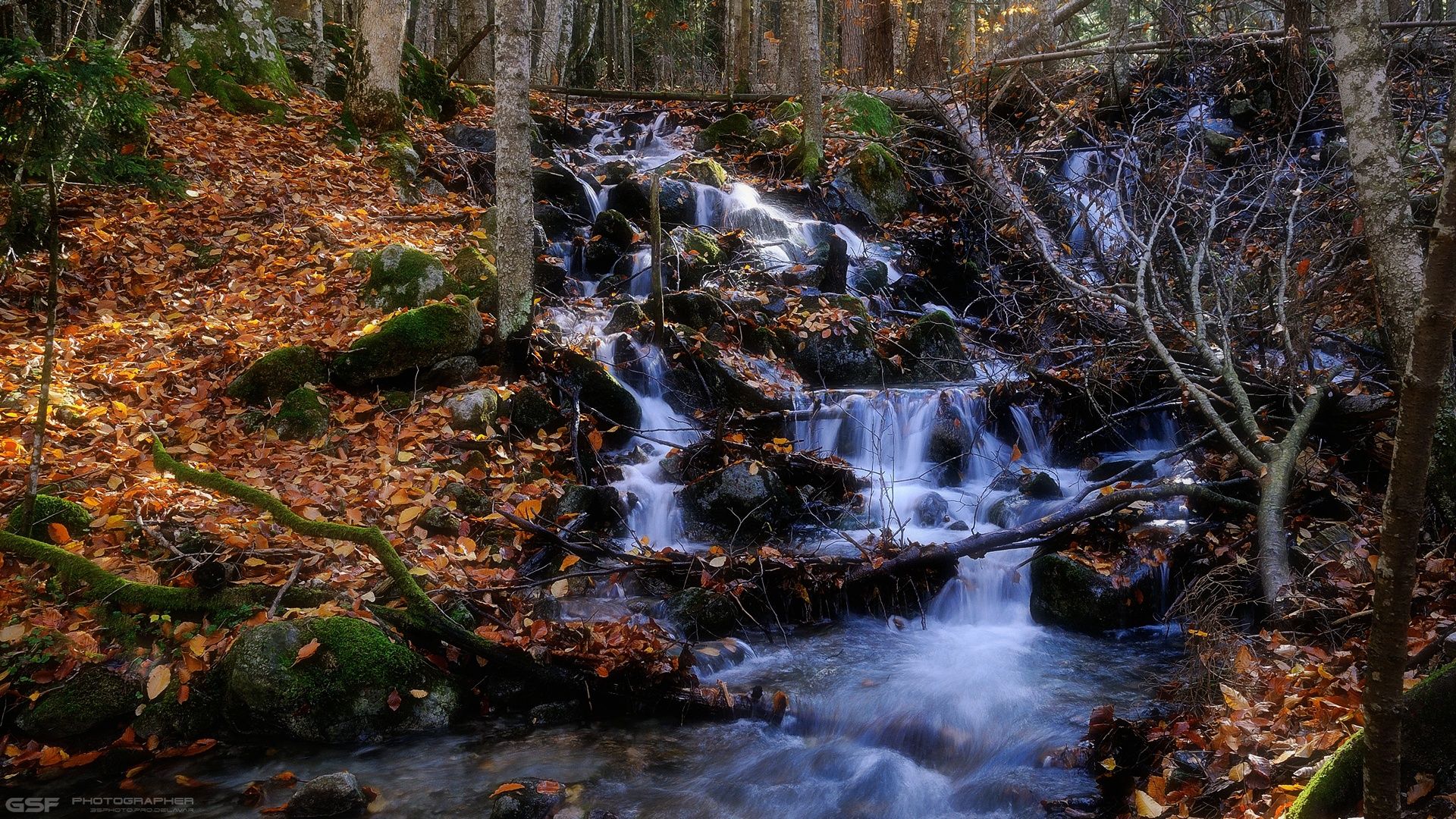 природа пейзаж осень лес горы река камни листья, Serj Master