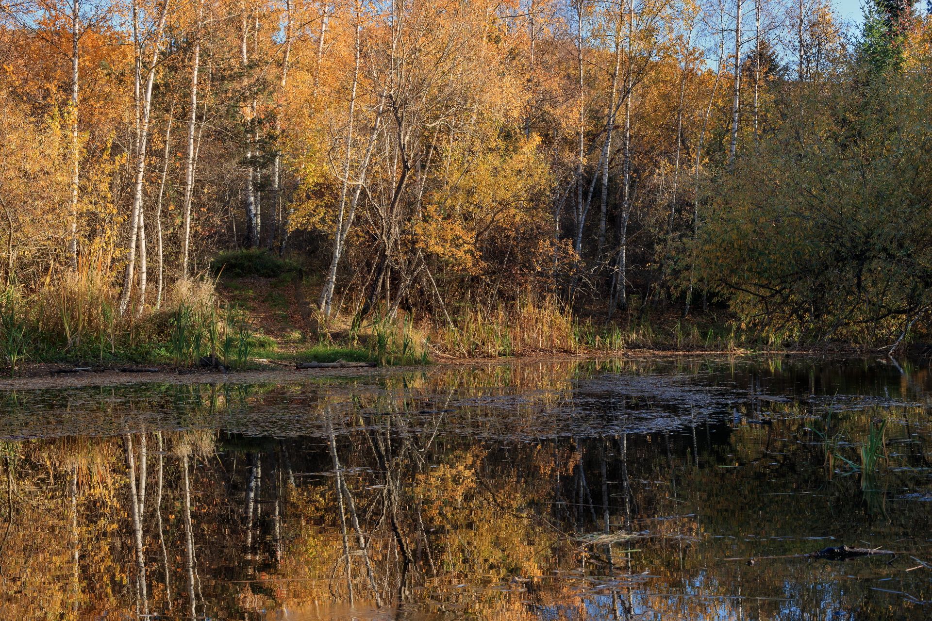 , Александър Сандев