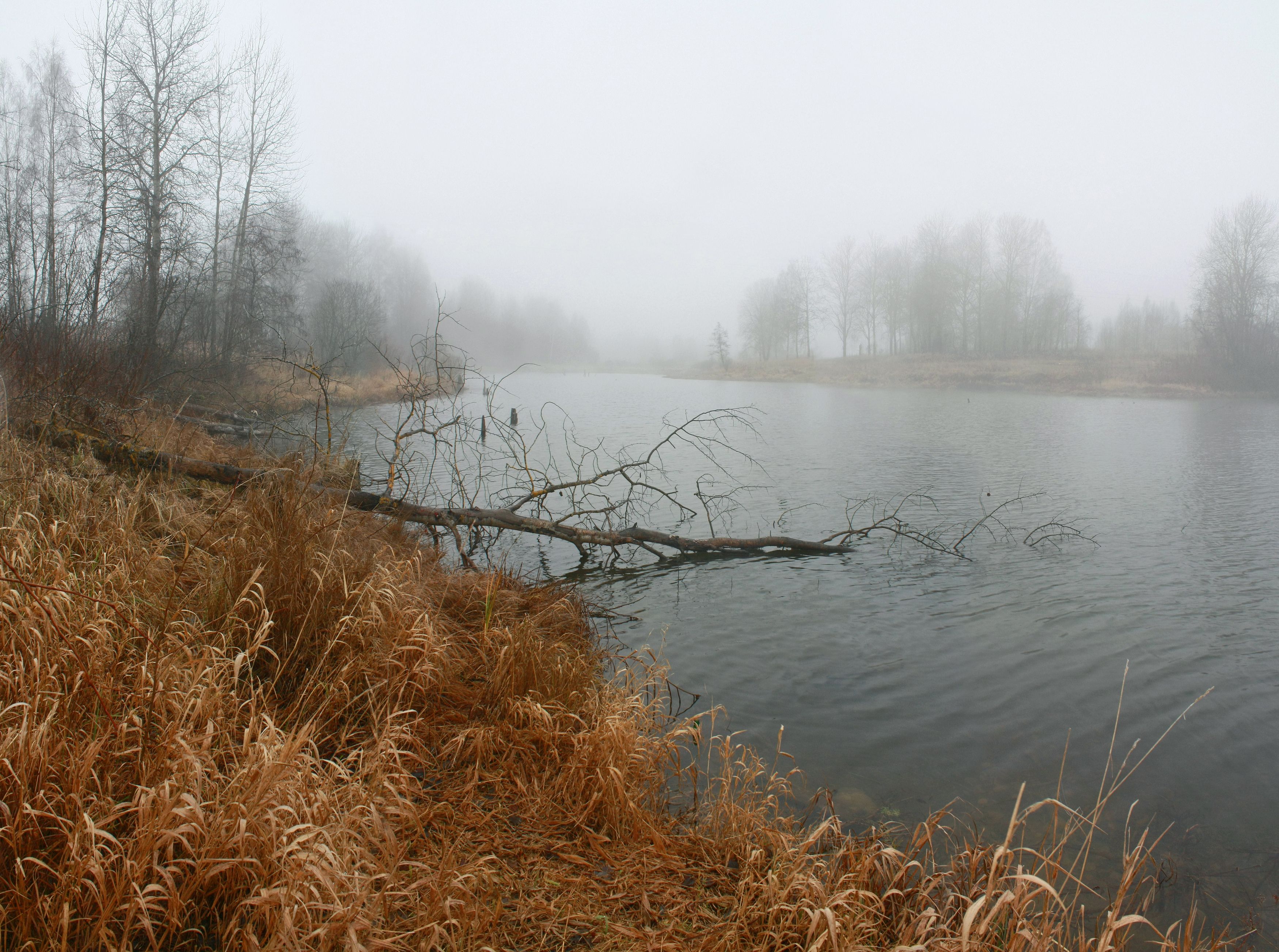 осень , туман , озеро , Александр Свистков