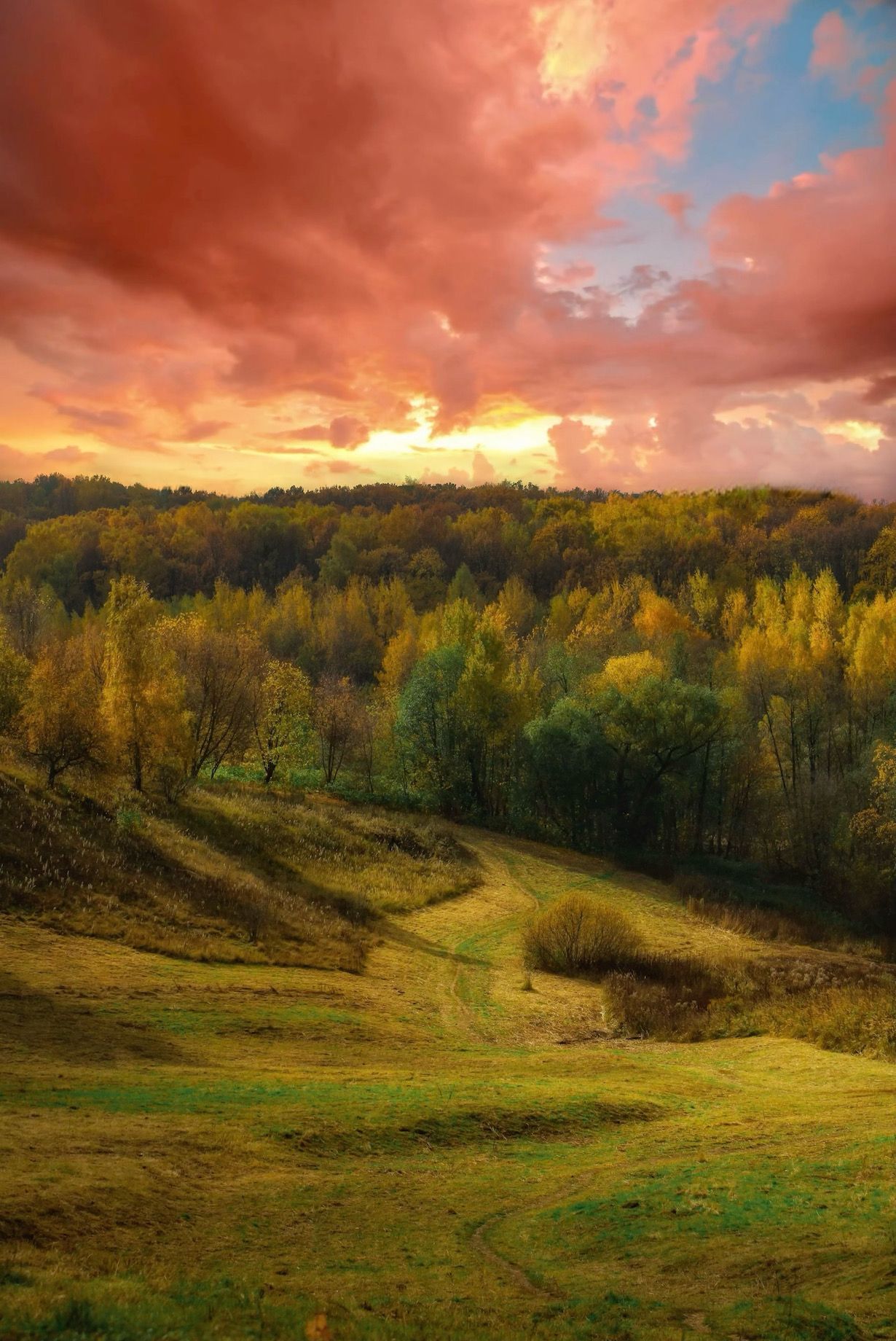 золотаяосень, осень, autumn, goldautumn, природа, nature, landscape, пейзаж, закат, sunset, Julia Kaissa