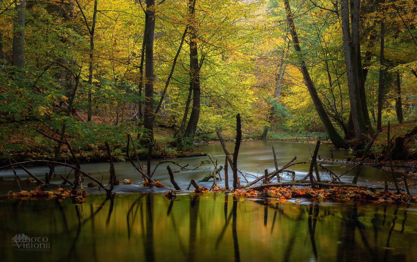 river,forest,landscape,woodland,woods,water,autumn,autumnal, Photo Visions