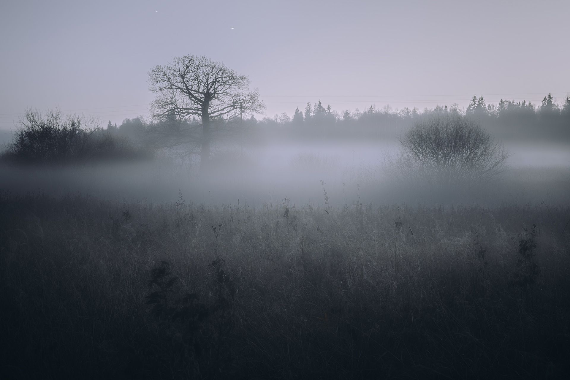 осень лес туман река пейзаж мрак вечер поле дерево, Lutovkin