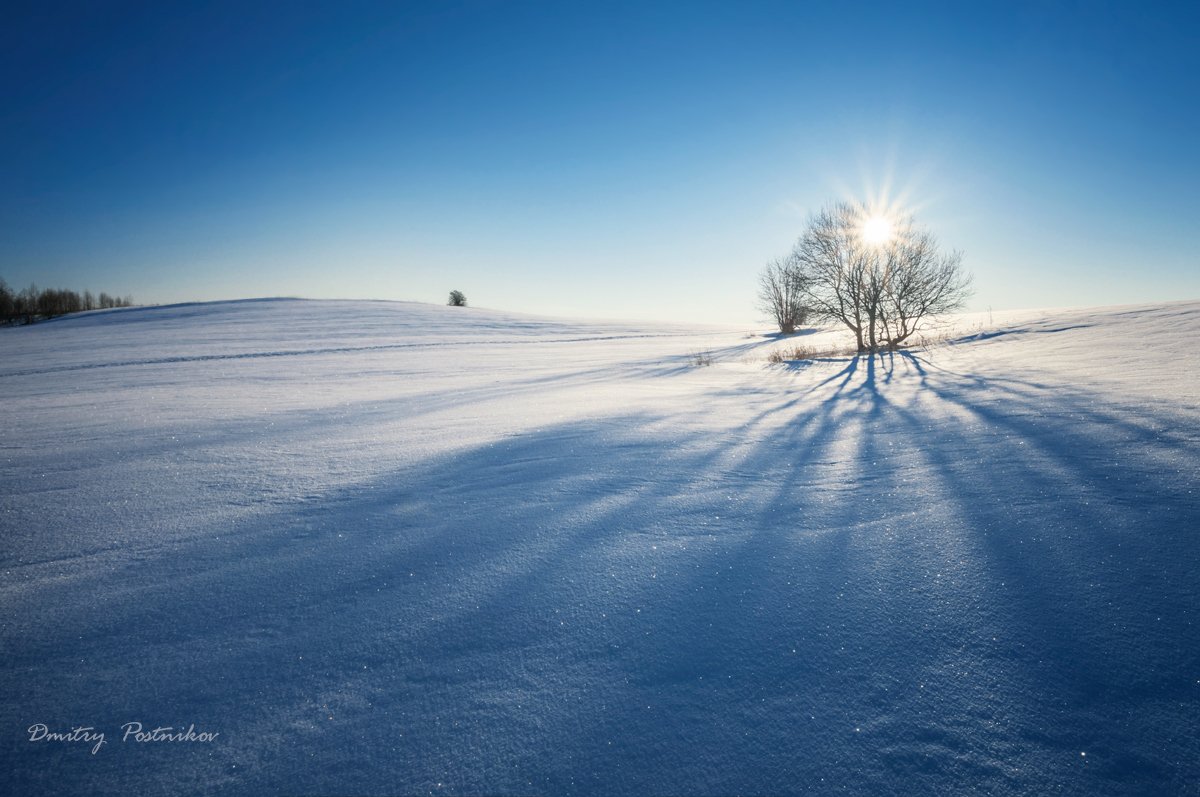 Зима, Небо, Пейзаж, Поле, Природа, Снег, Солнце, Dmitry Postnikov