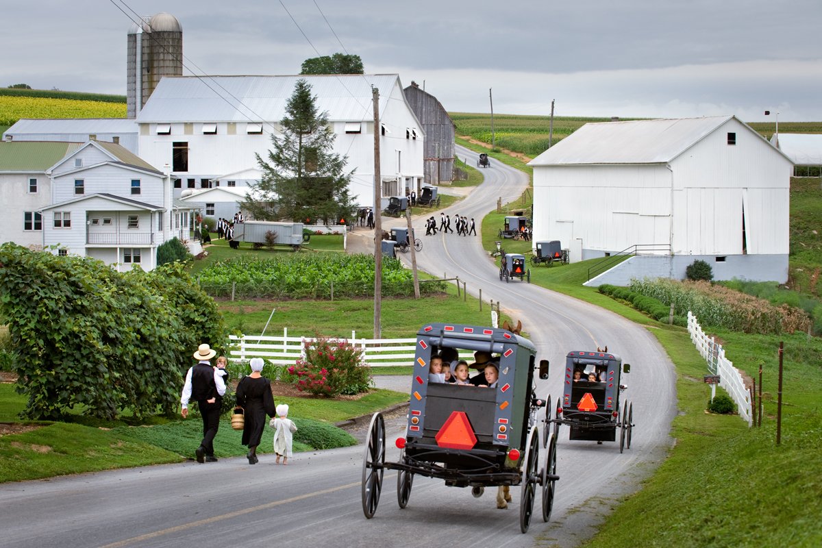 Amish,lancaster county, Donald Reese