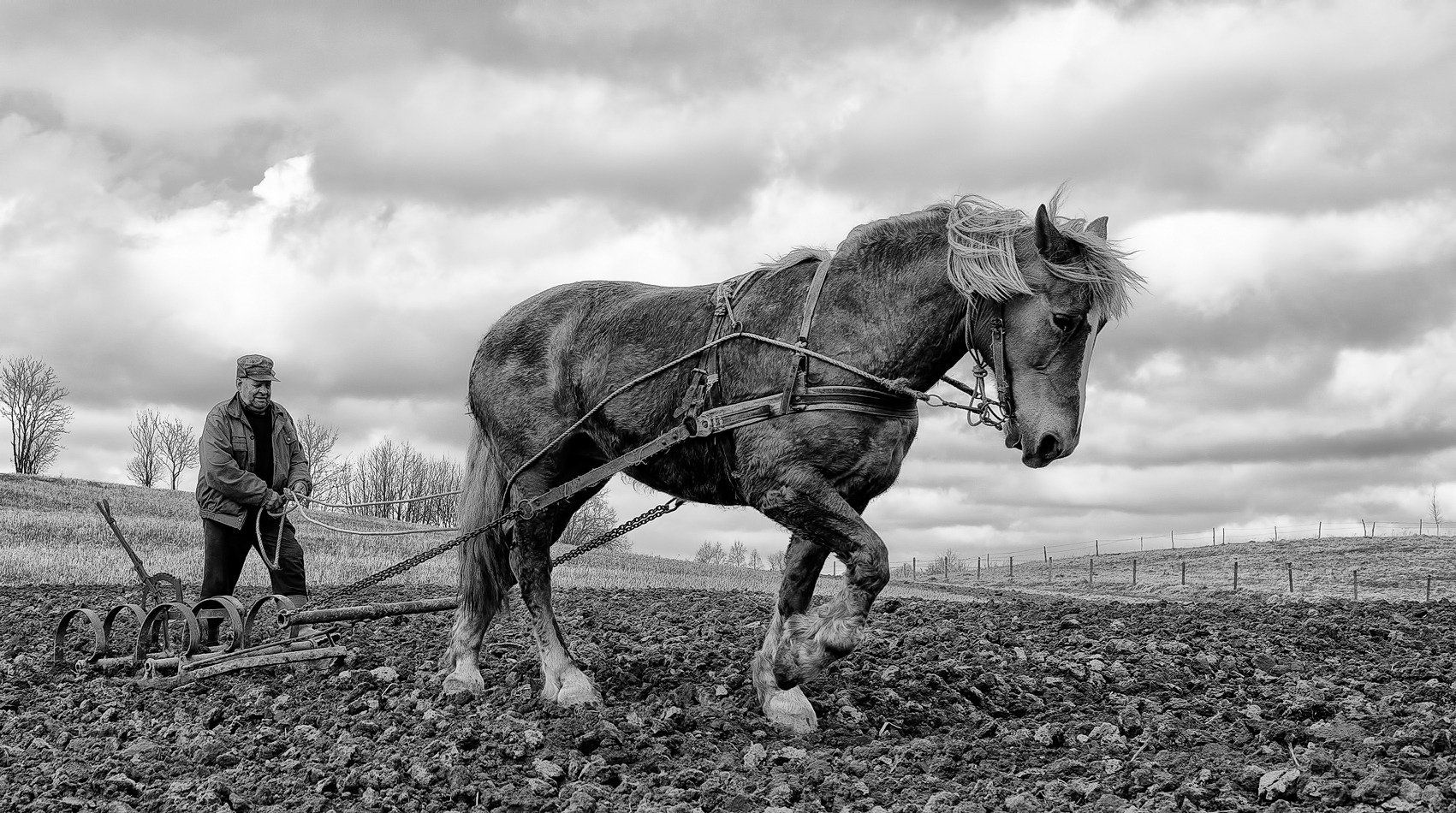 , Sutkus Rolandas