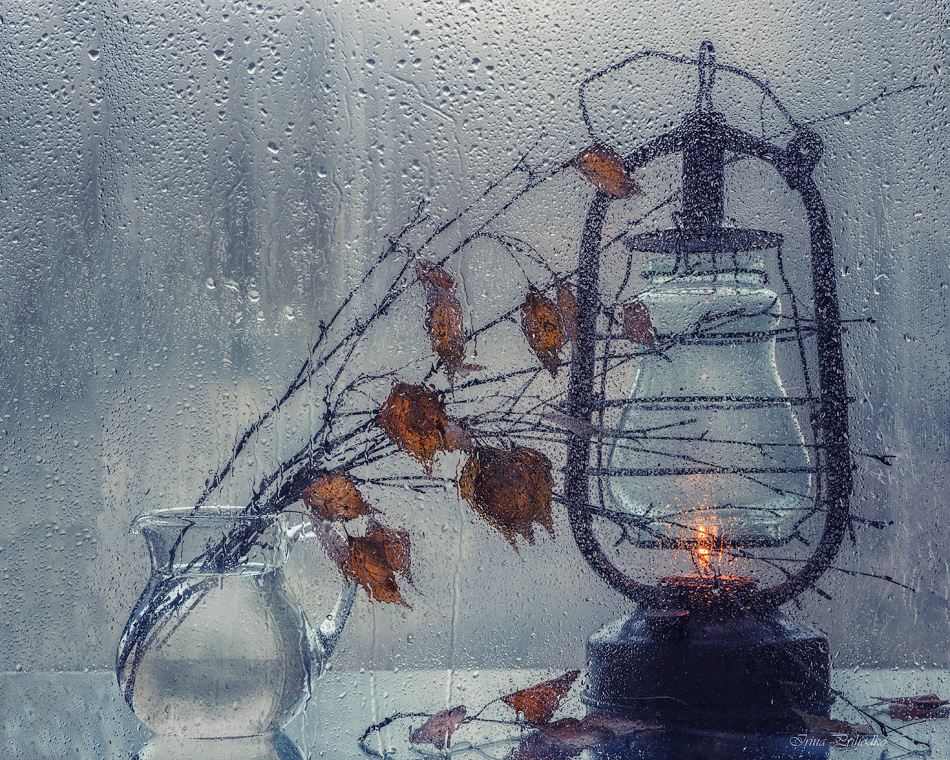 фото натюрморт, ветки березы, фонарь, кувшин с водой, Ирина Приходько