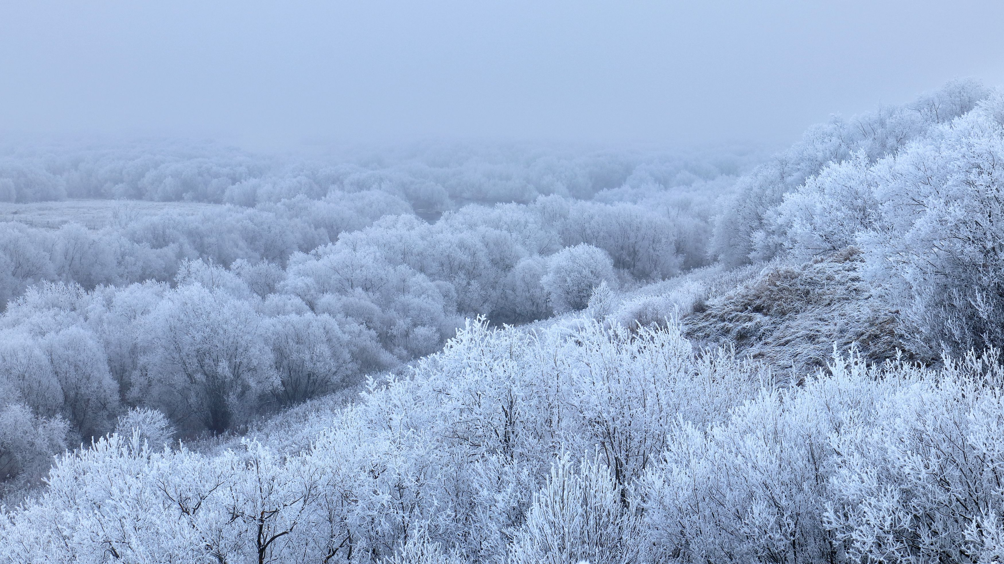 природа, осень, туман, север, деревья, мороз, иней, Титов Александр