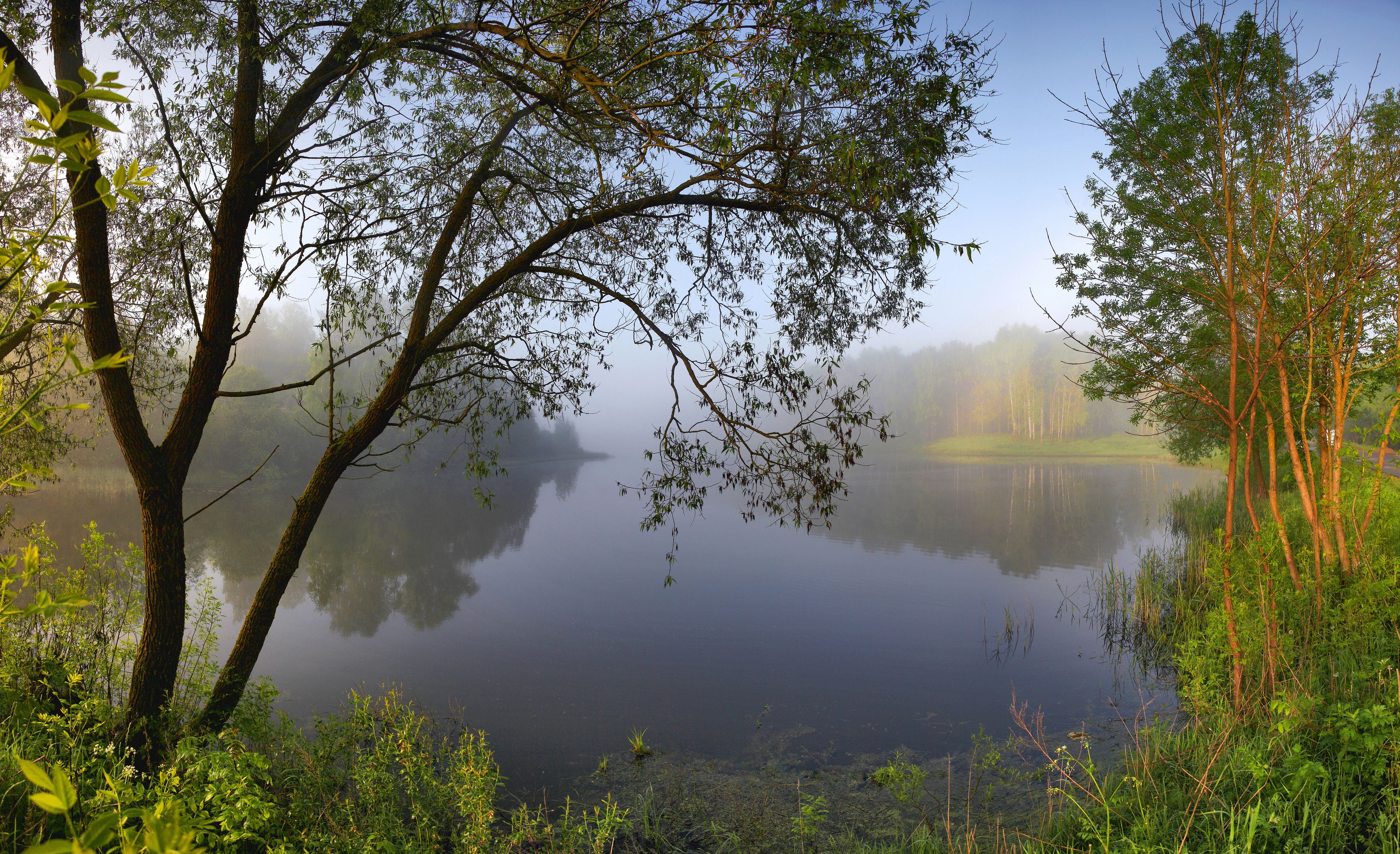 весна , озеро , туман, Александр Свистков